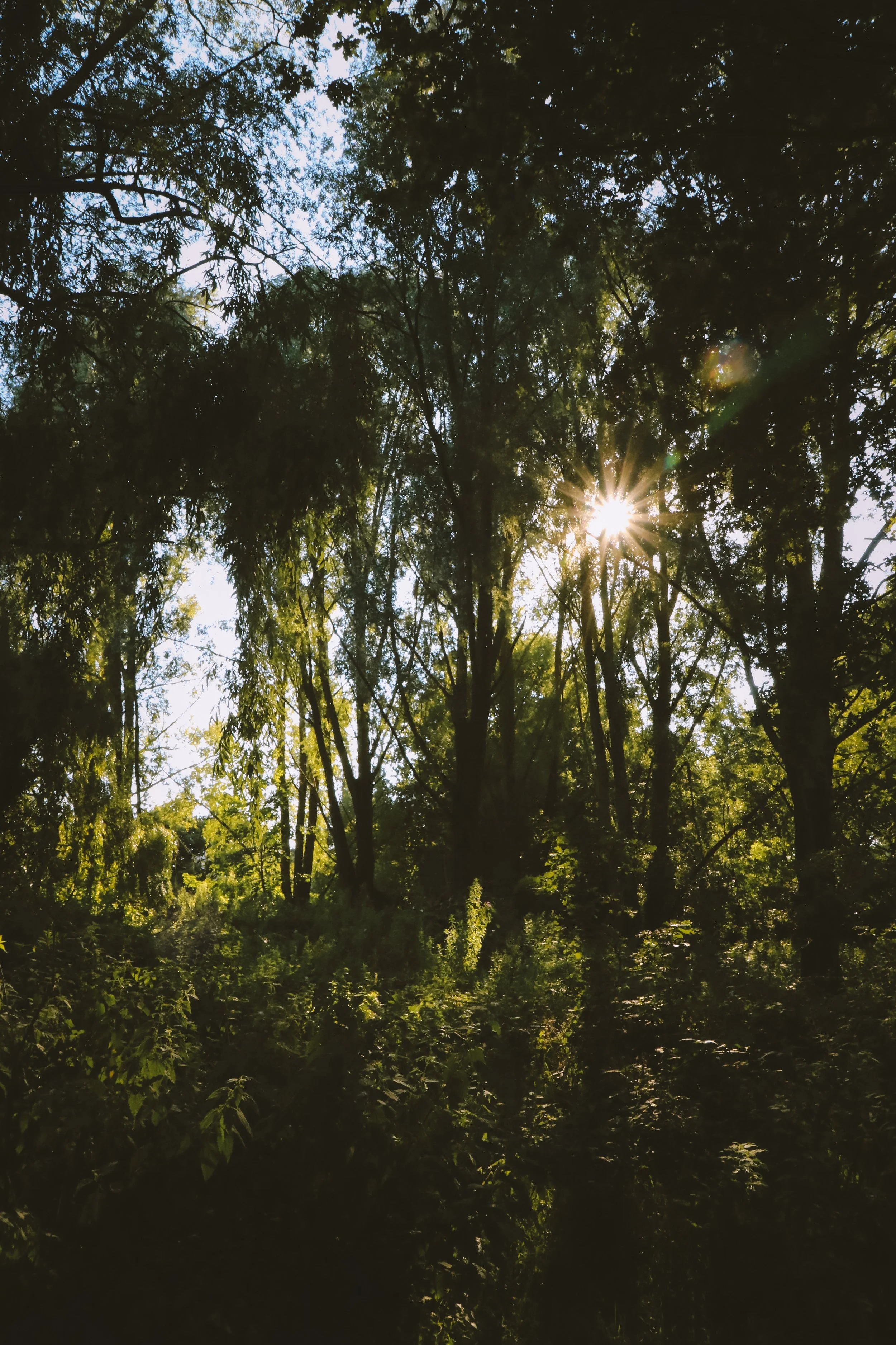 Bleeding Green - Holli Z Photography - 1.jpeg