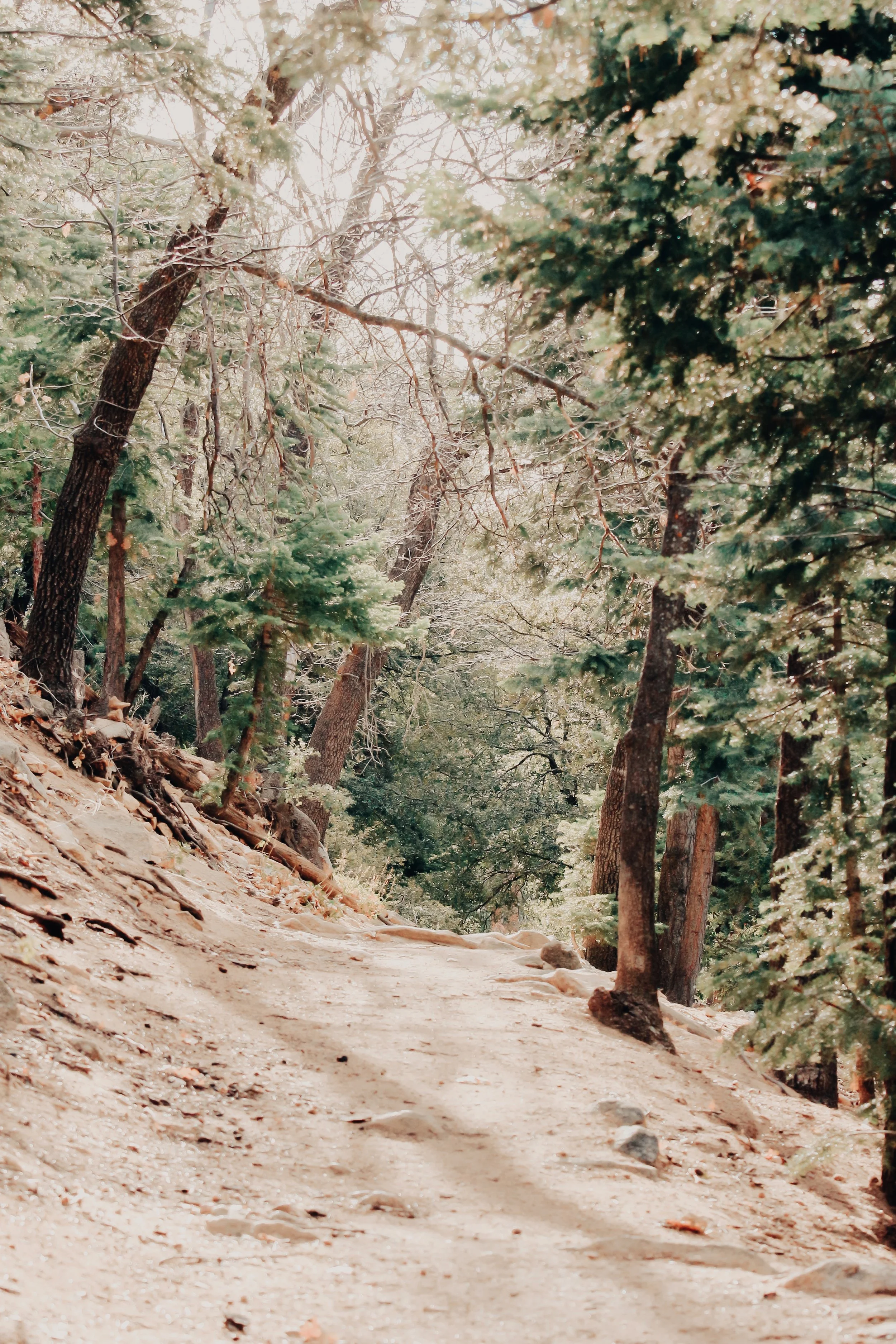 Embark- Holli Z Photography - 1.jpeg