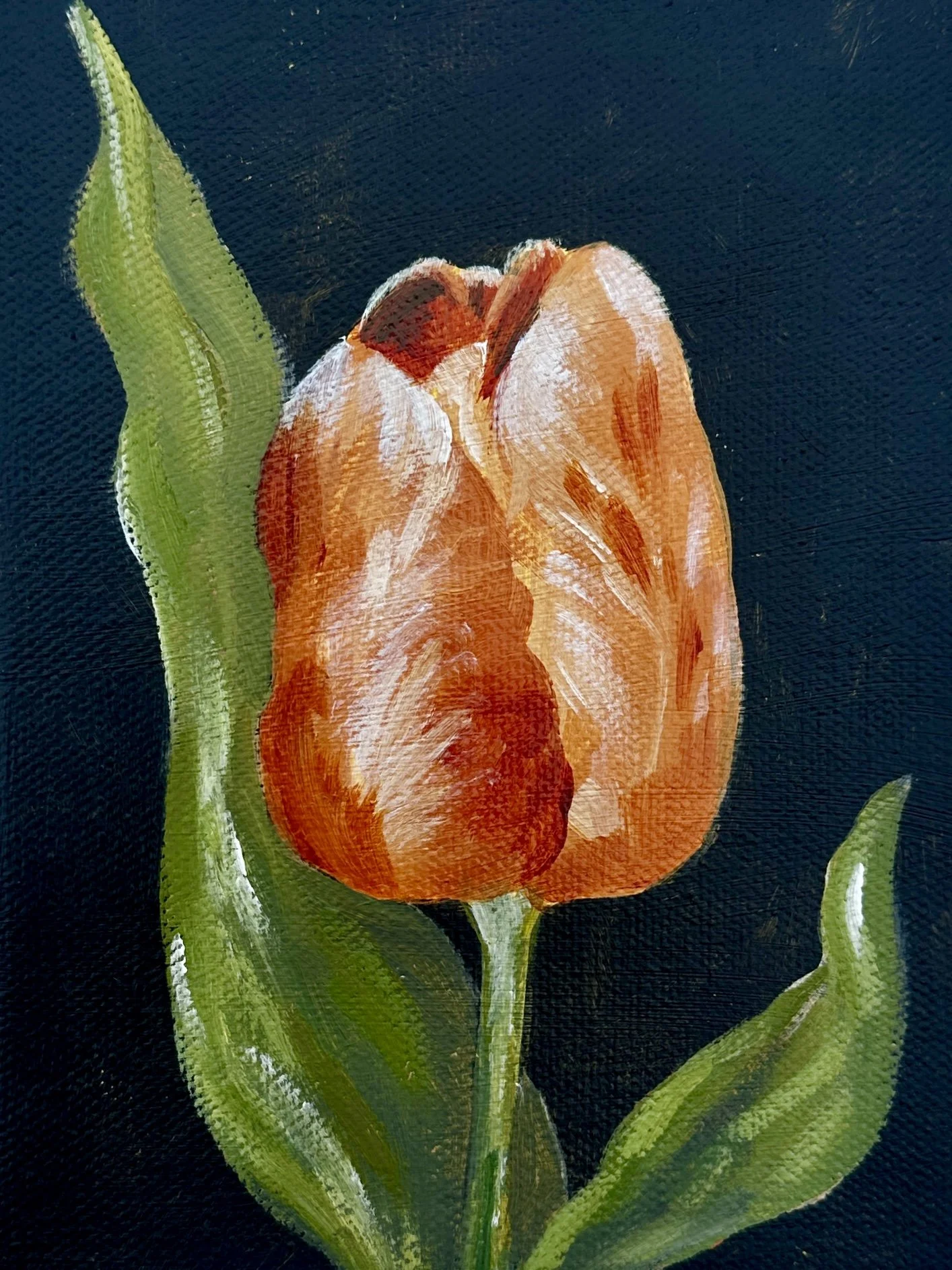 Tulip Study #1 - Original Acrylic