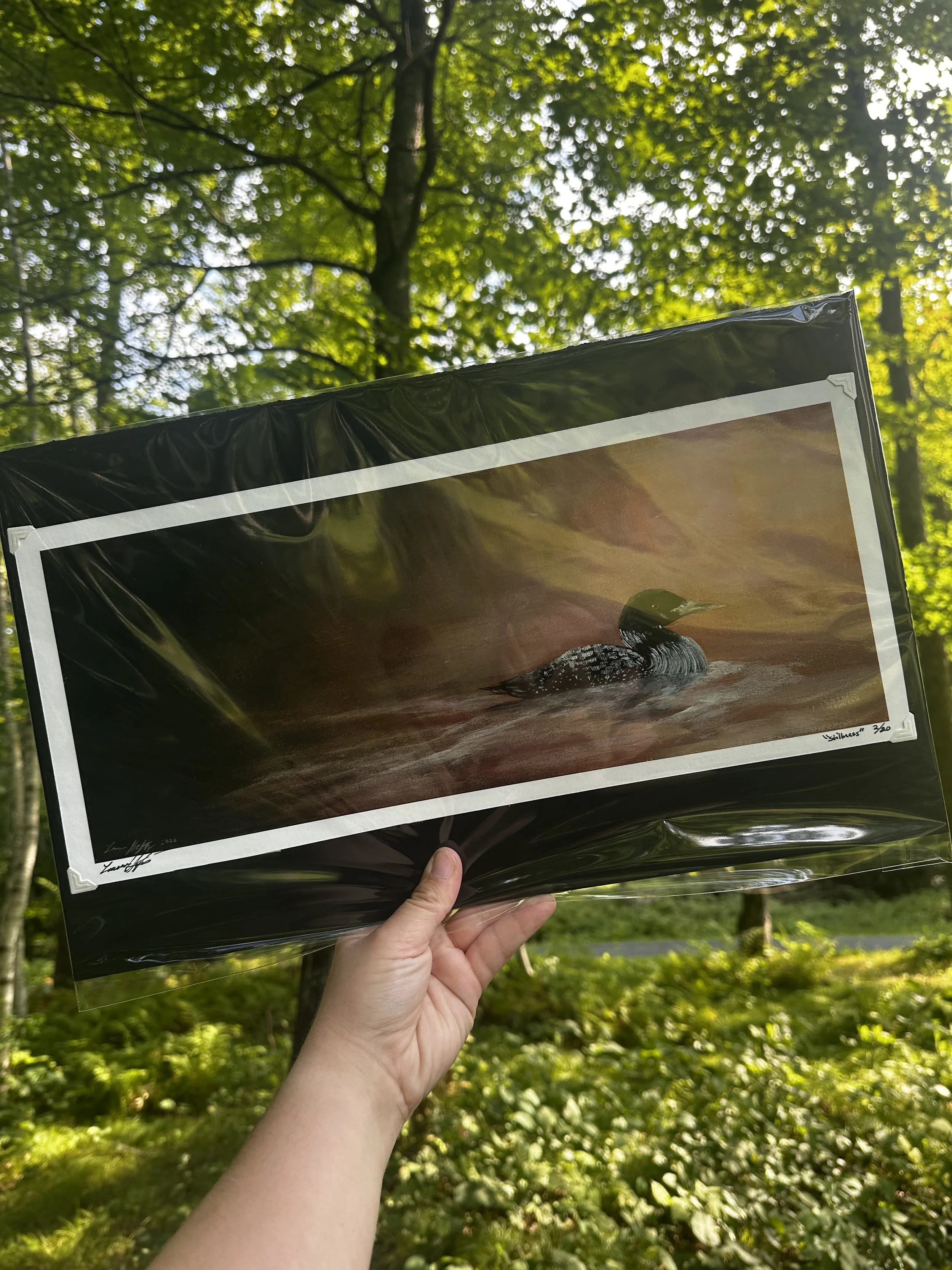 (PRE ORDER) Limited Edition Cotton Rag Print: "Stillness"