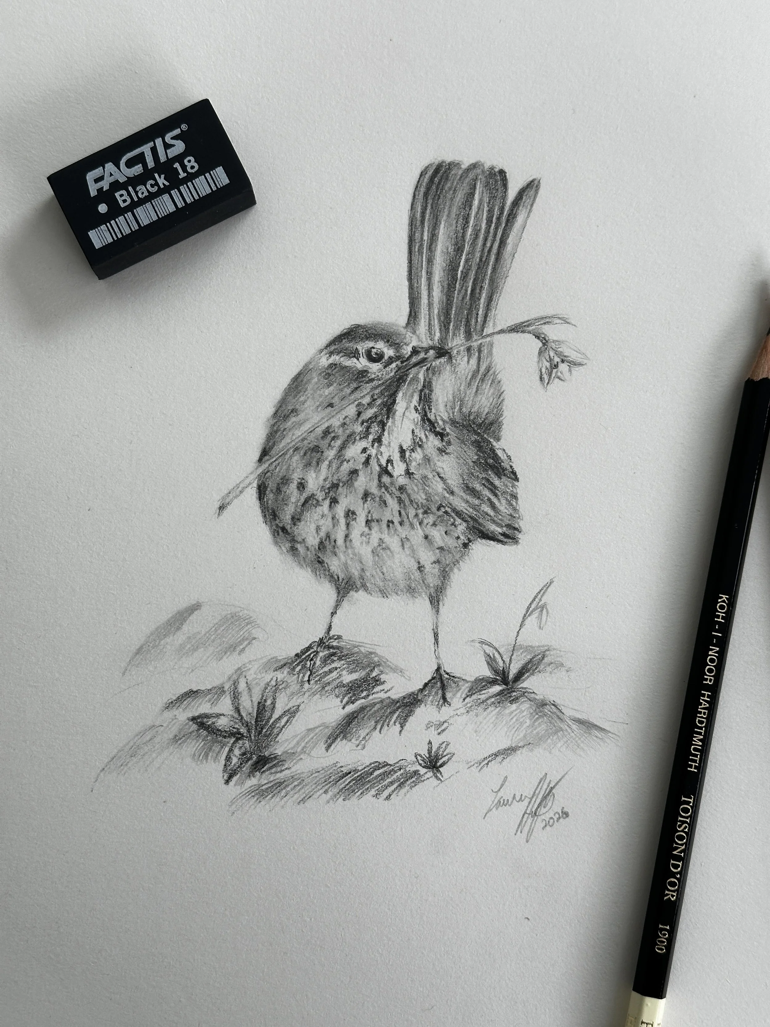 Return of Spring - Original Illustration