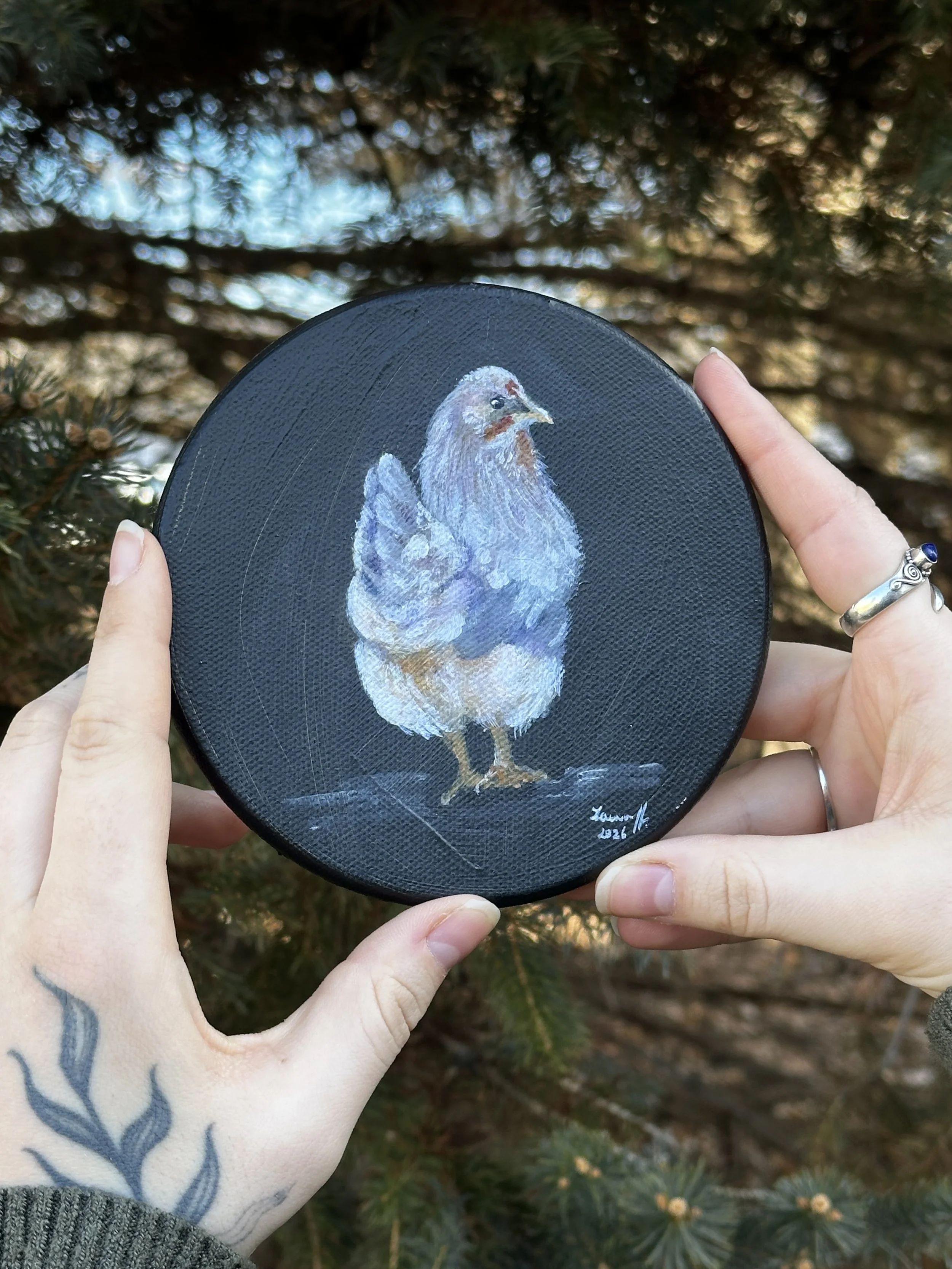 Hen Study #1 - Original Acrylic