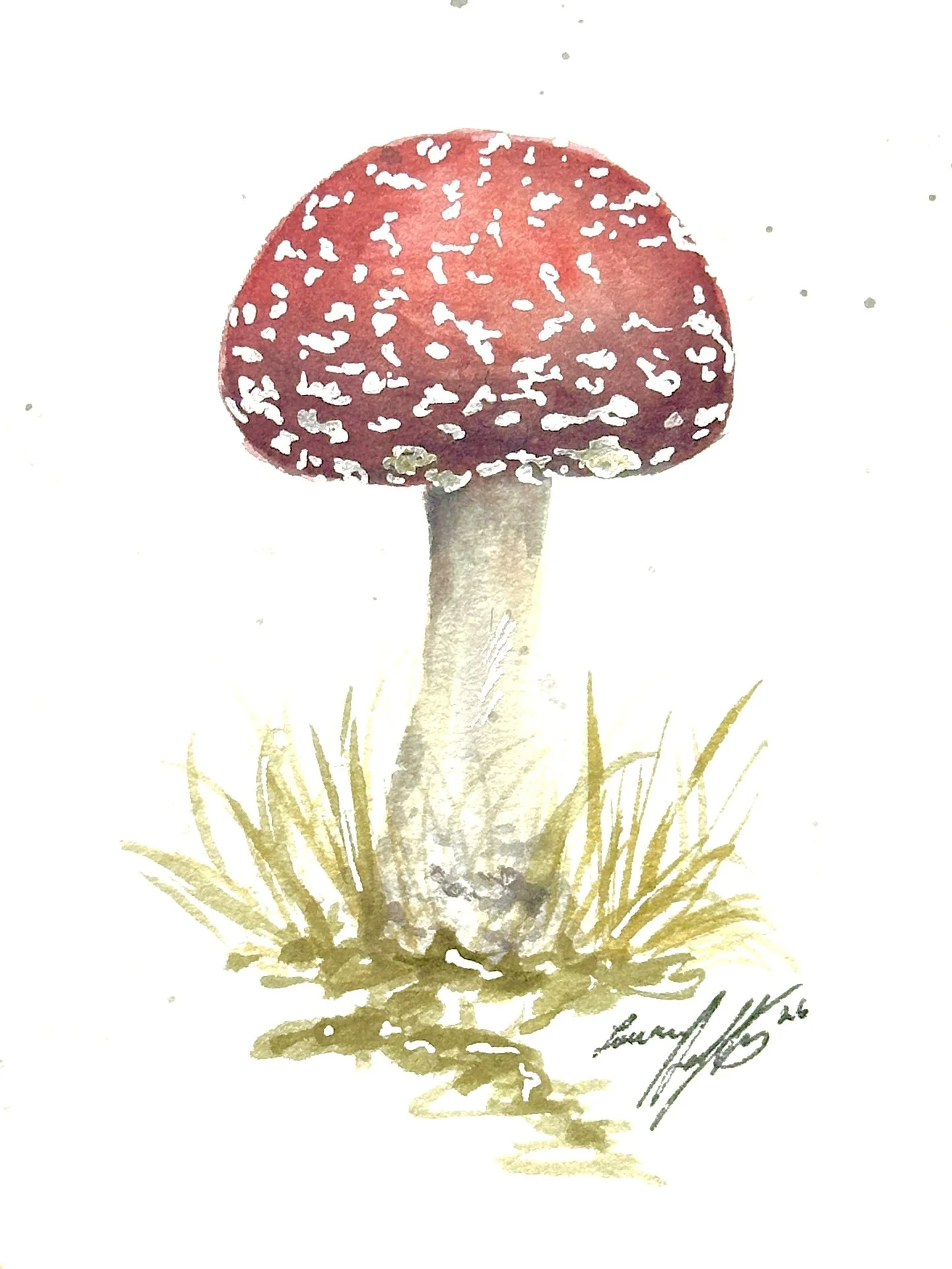 Amamitamushy (1).jpg