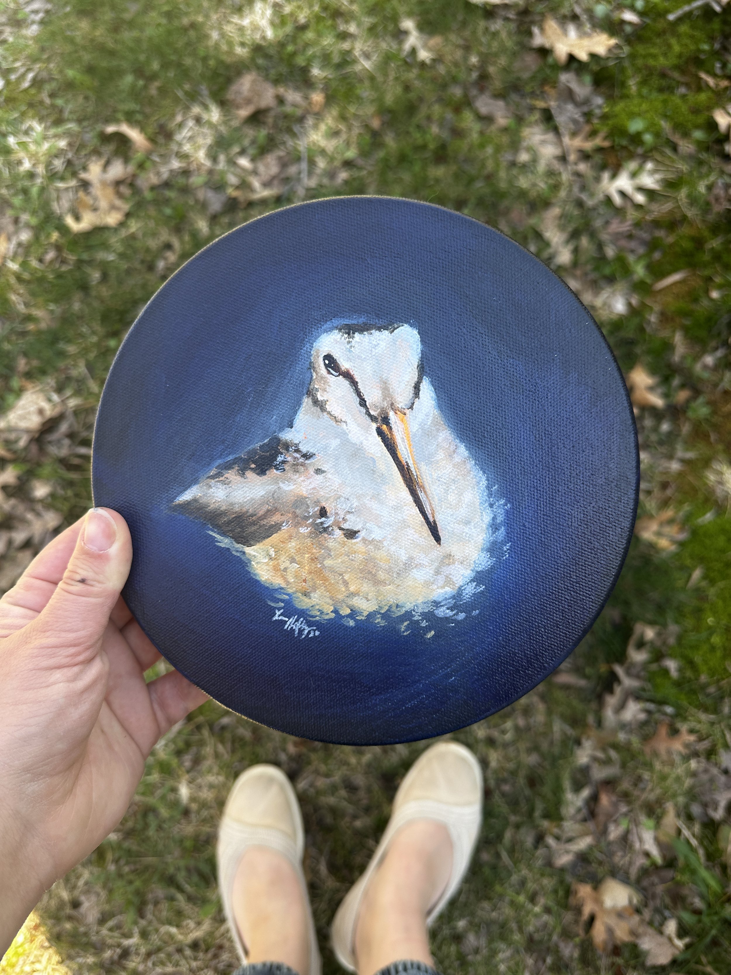 "Woodcock Study #1" Original Acrylic