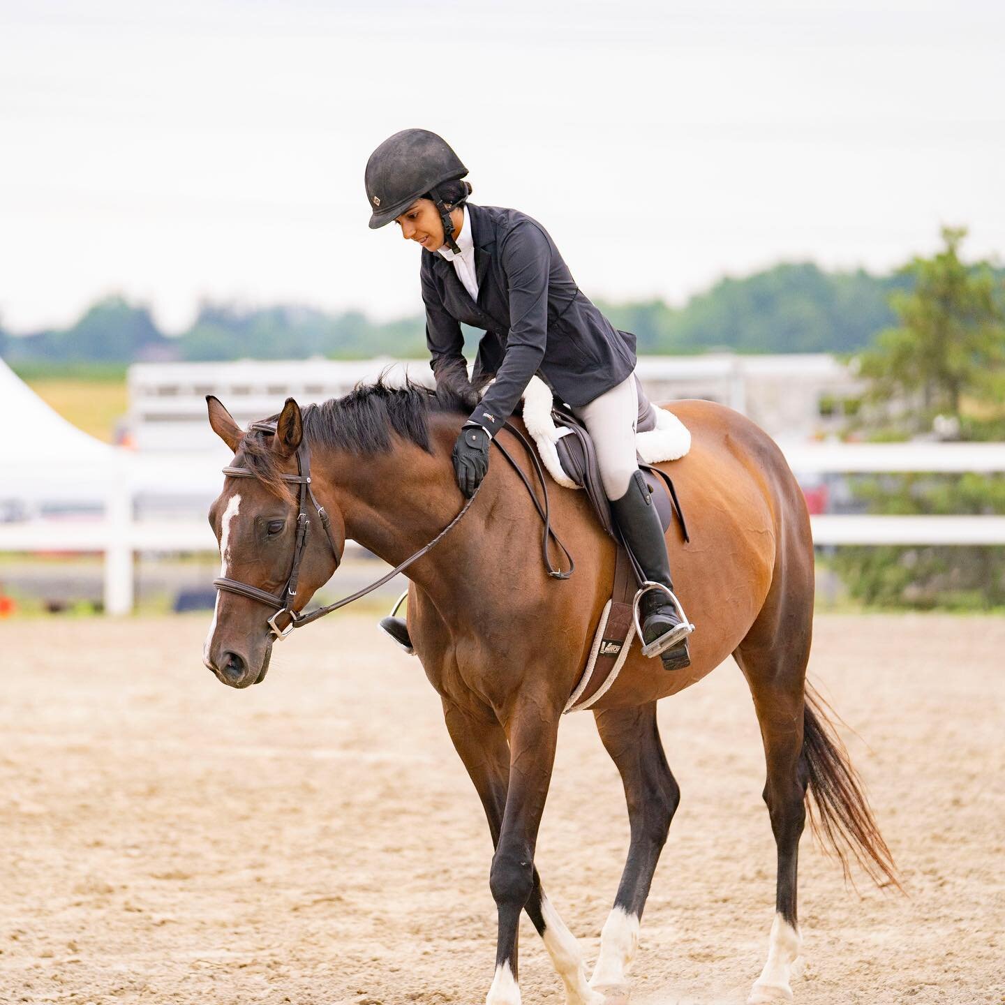 We are so excited to be attending the Ancaster Saddle Club horse show this Sunday as the official photographer again 🤩 If you would like pictures taken of you and your horse, send me a message with your number and division so I can get as many photo