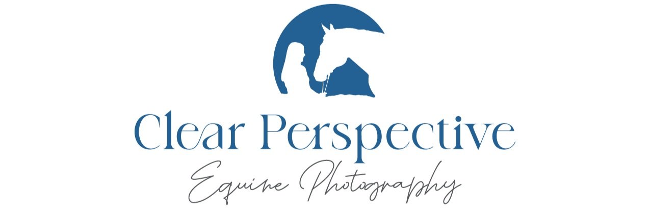 Clear Perspective Equine Photography