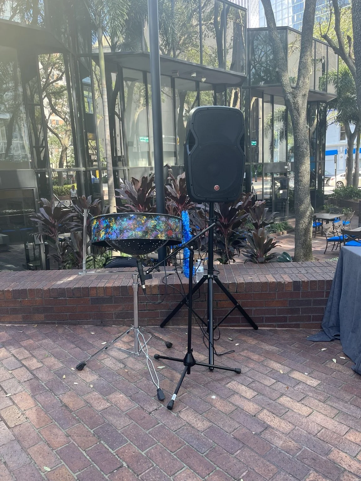Solo. Hyatt Tampa