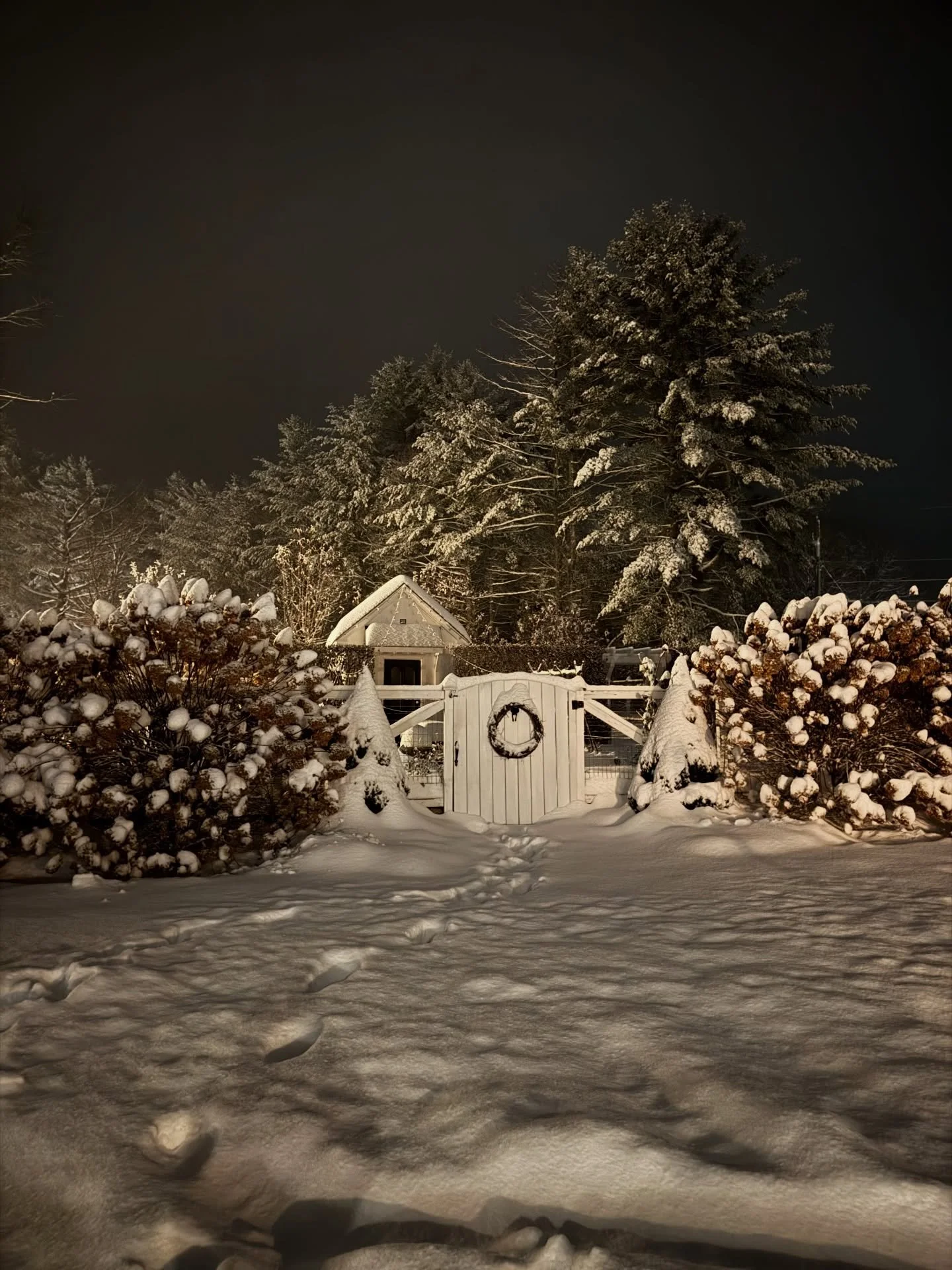 So far this Christmas season. Currently we&rsquo;re on the heels of Christmas break, and while it&rsquo;s raining cats and dogs and the snow will likely be gone before tomorrow, our spirits can&rsquo;t be dampened. School car-line is always extra fun