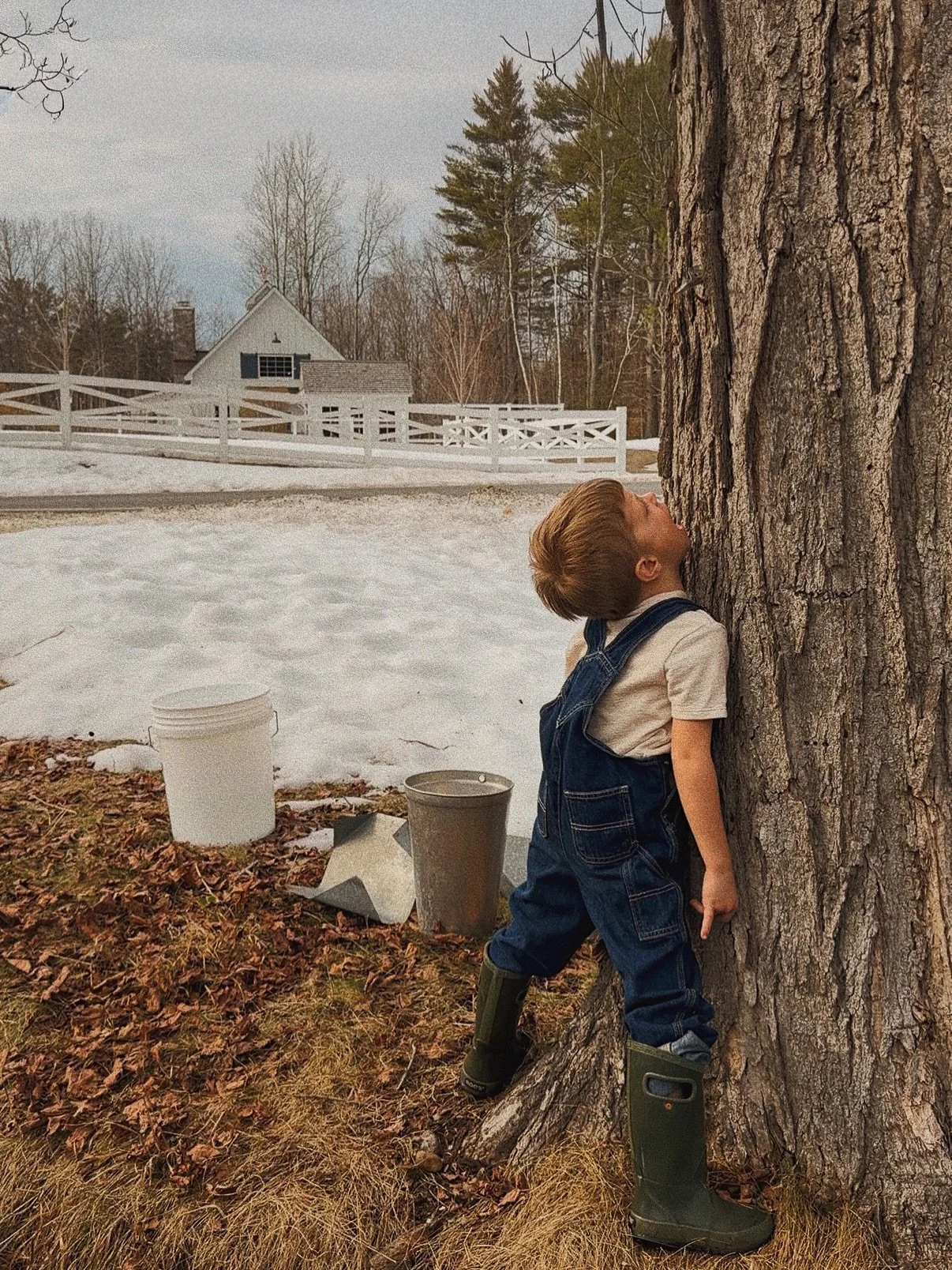 The start of March with its heavy sky, melting snow, muddy lanes and maple sap. Countering it with mugs of tea, morning pancakes, intermittent sunshine and cozy moments. 🪾🍁☕️🤎☁️