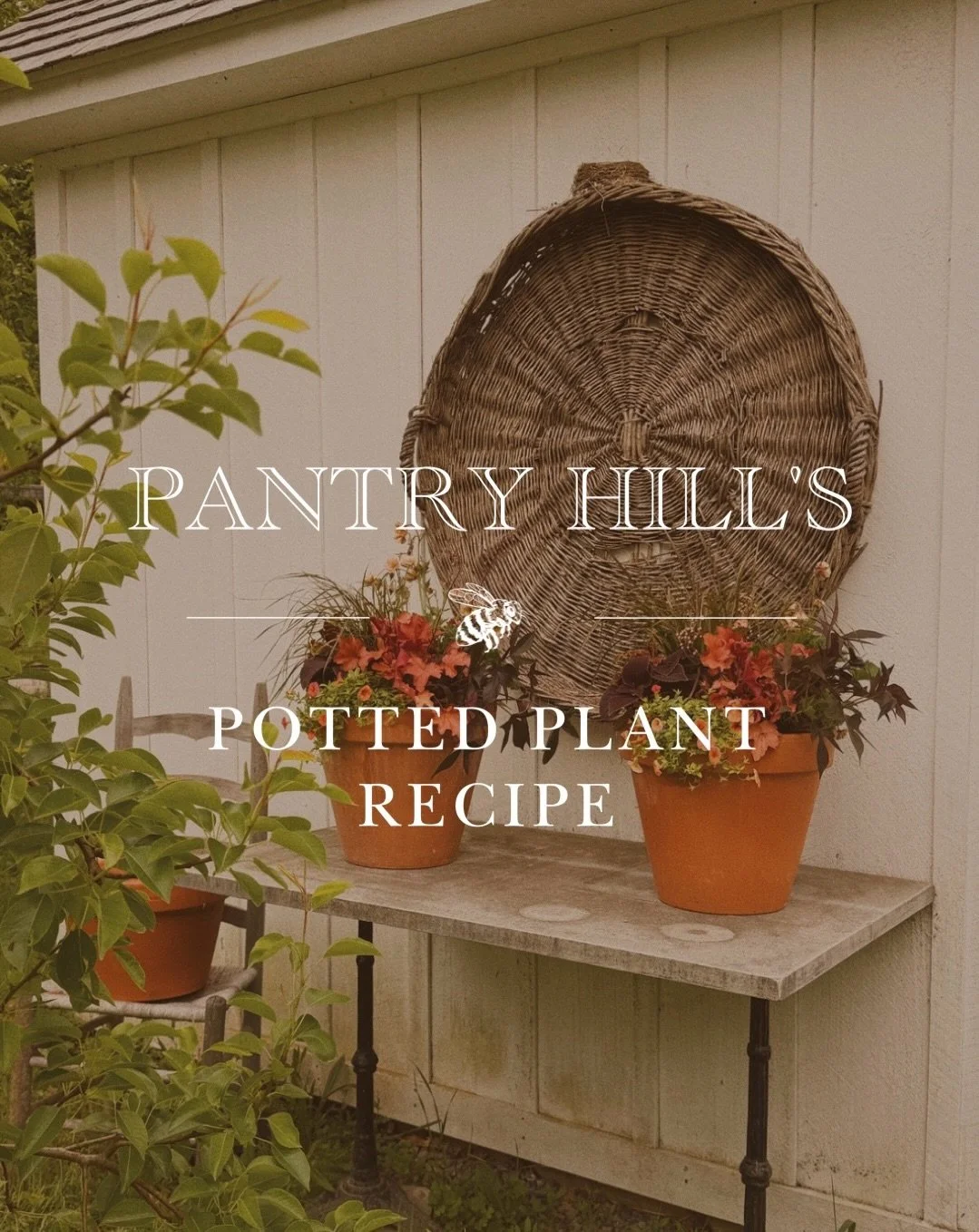 I&rsquo;m obsessed with how my front porch pots turned out this year. I tried mixing annuals and perennials for the first time, and it&rsquo;s made for such a beautiful assortment of colors and textures. 

I went with a color palette similar to my fr
