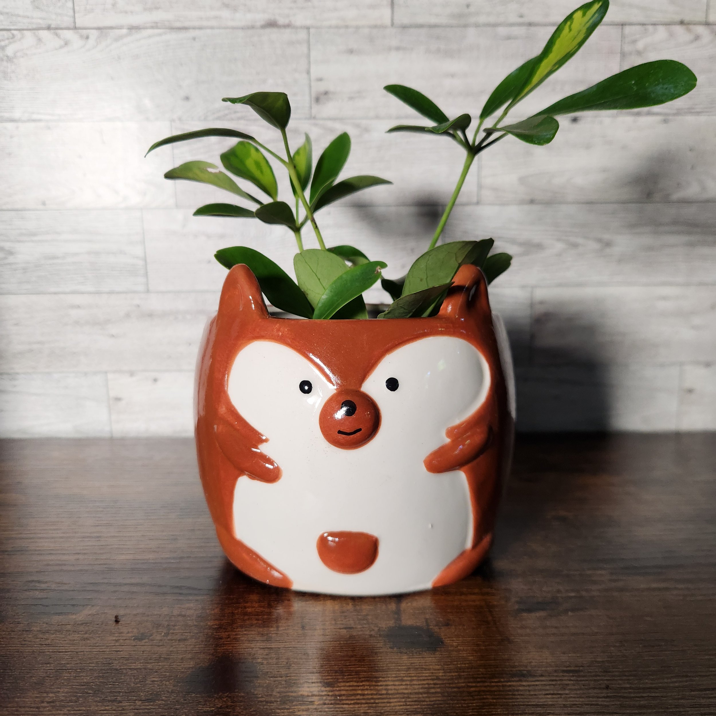 Forest Creature Planter