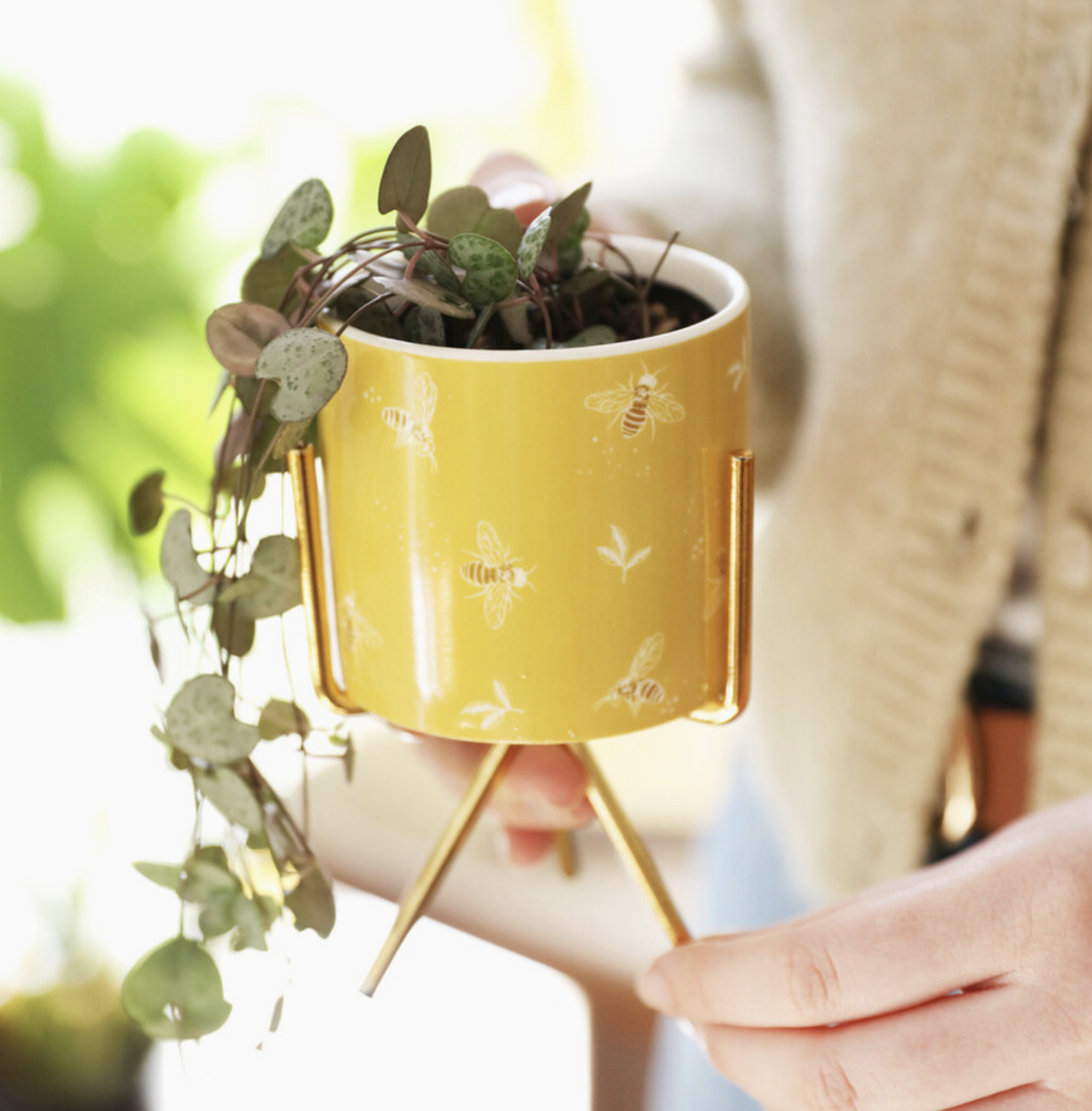 Yellow Bee Print Mini Planter and Stand