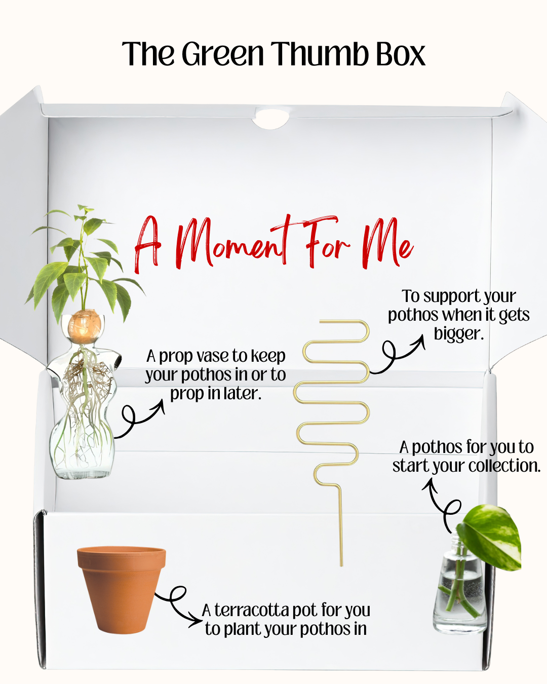 NJAM Moment For Me Hobby Boxes (7).png