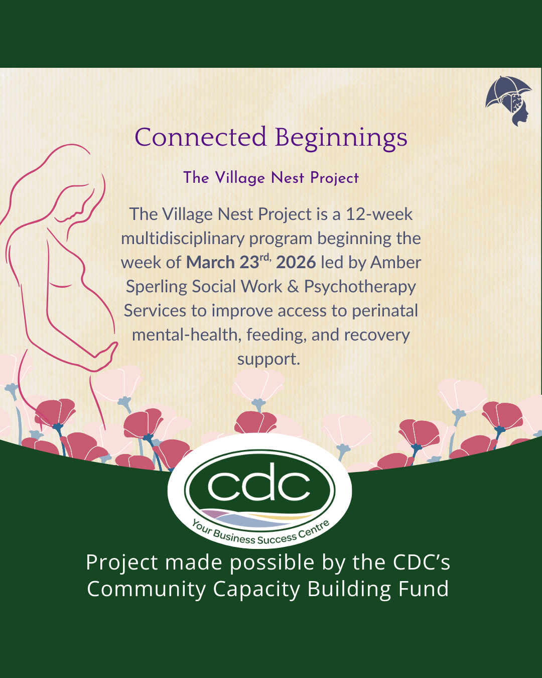 Information about the Village Nest Project, a 12-week program beginning March 23, 2026, led by Amber Sperling to improve access to perinatal mental health, feeding, and recovery support, with logos and decorative floral and outline illustrations.