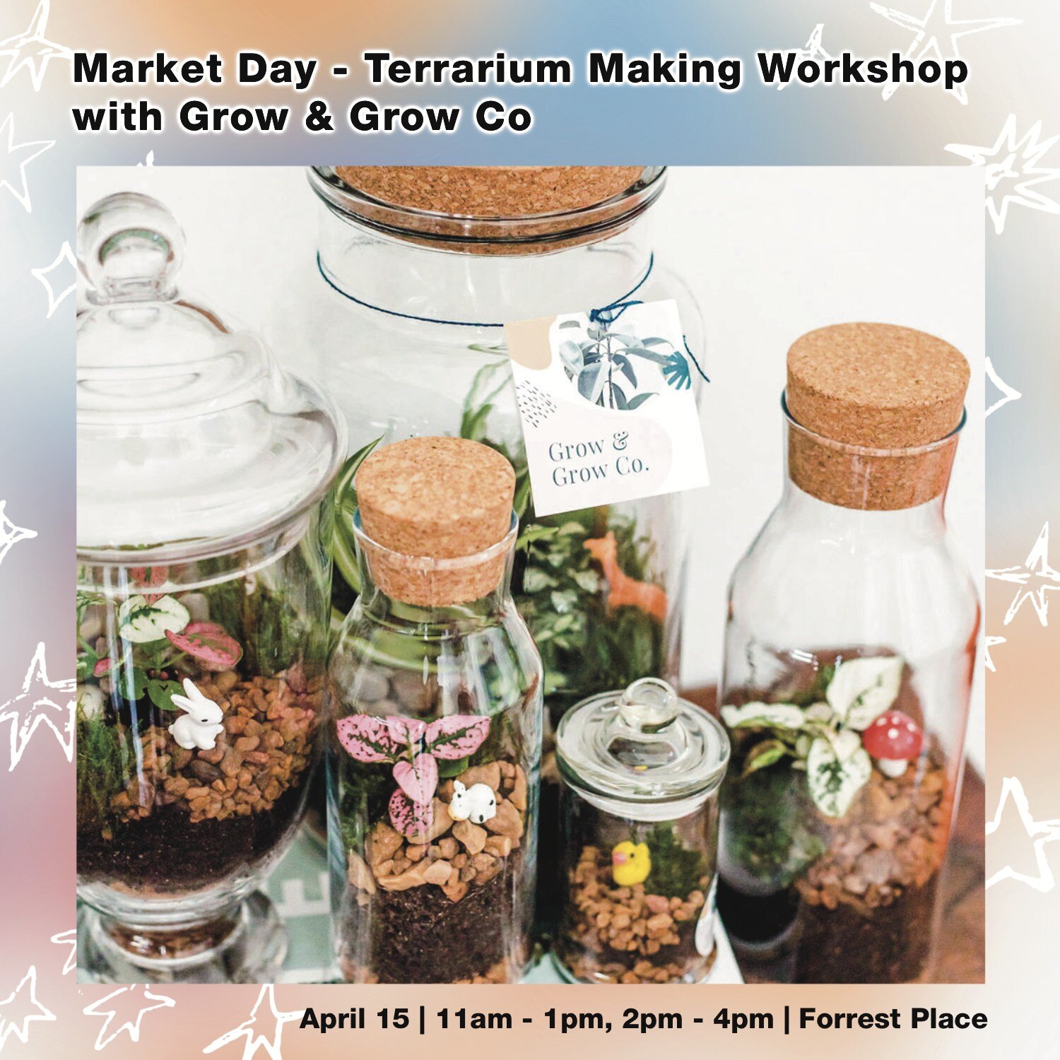 Terrarium Gardenscape Workshop will be at Market Day! 🌿🌱

Roll up your sleeves and join Kaylie Bodeker from @growandgrowco to make your very own magical terrarium wonderland. The perfect self watering, low maintenance house plant! Workshops are on 