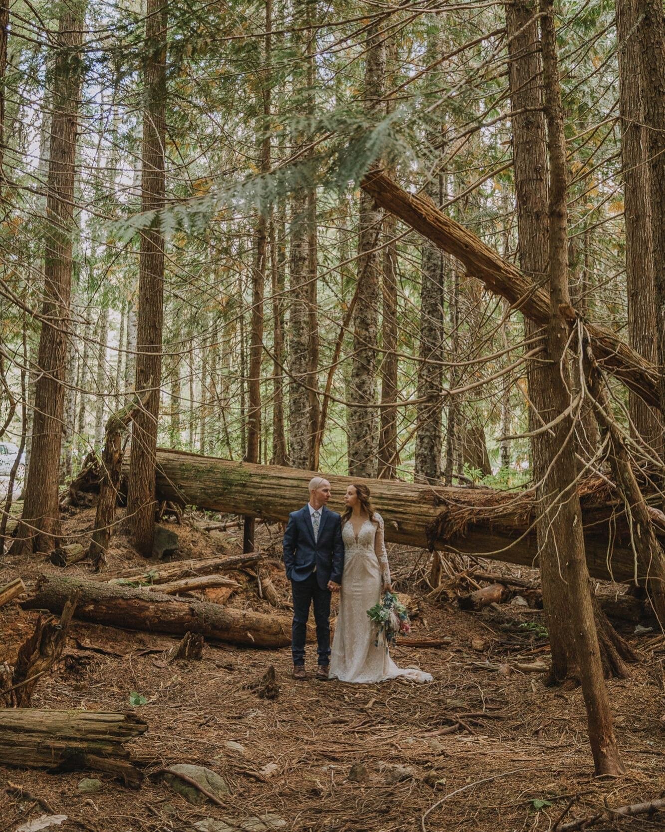 More Oregon elopements please 🌿 I think about this weekend on a regular basis and can&rsquo;t wait to return one day! Madi &amp; Drew did their wedding exactly how they wanted and I couldn&rsquo;t have imagined it any other way.
