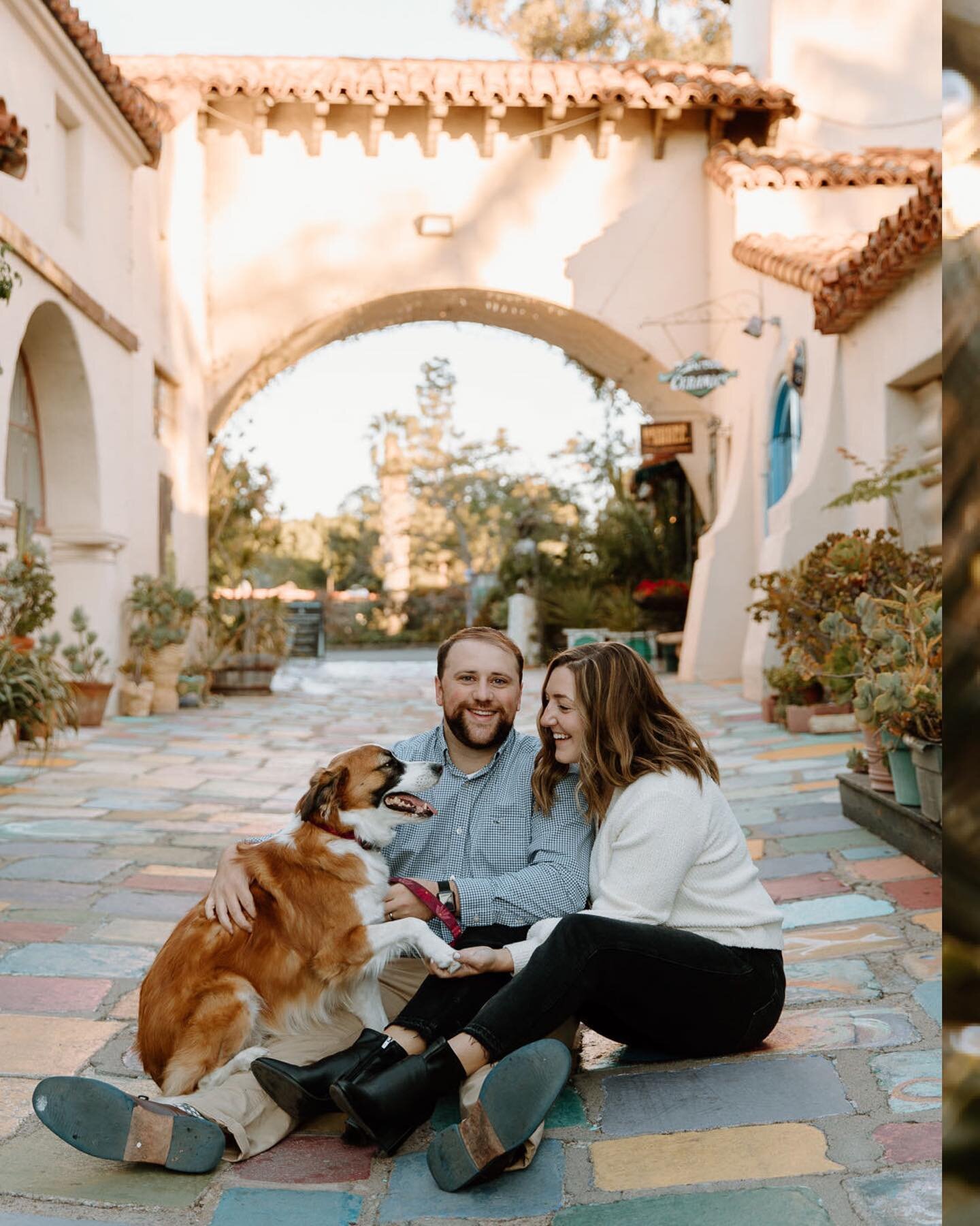 loved getting to meet these two and their pup before they make the big move to chicago! also, swipe to the last slide for the biggest puppy smile i&rsquo;ve ever seen 🐶
&bull;
&bull;
&bull;
&bull;
#photographer #sandiegophotographer #sandiegocouples