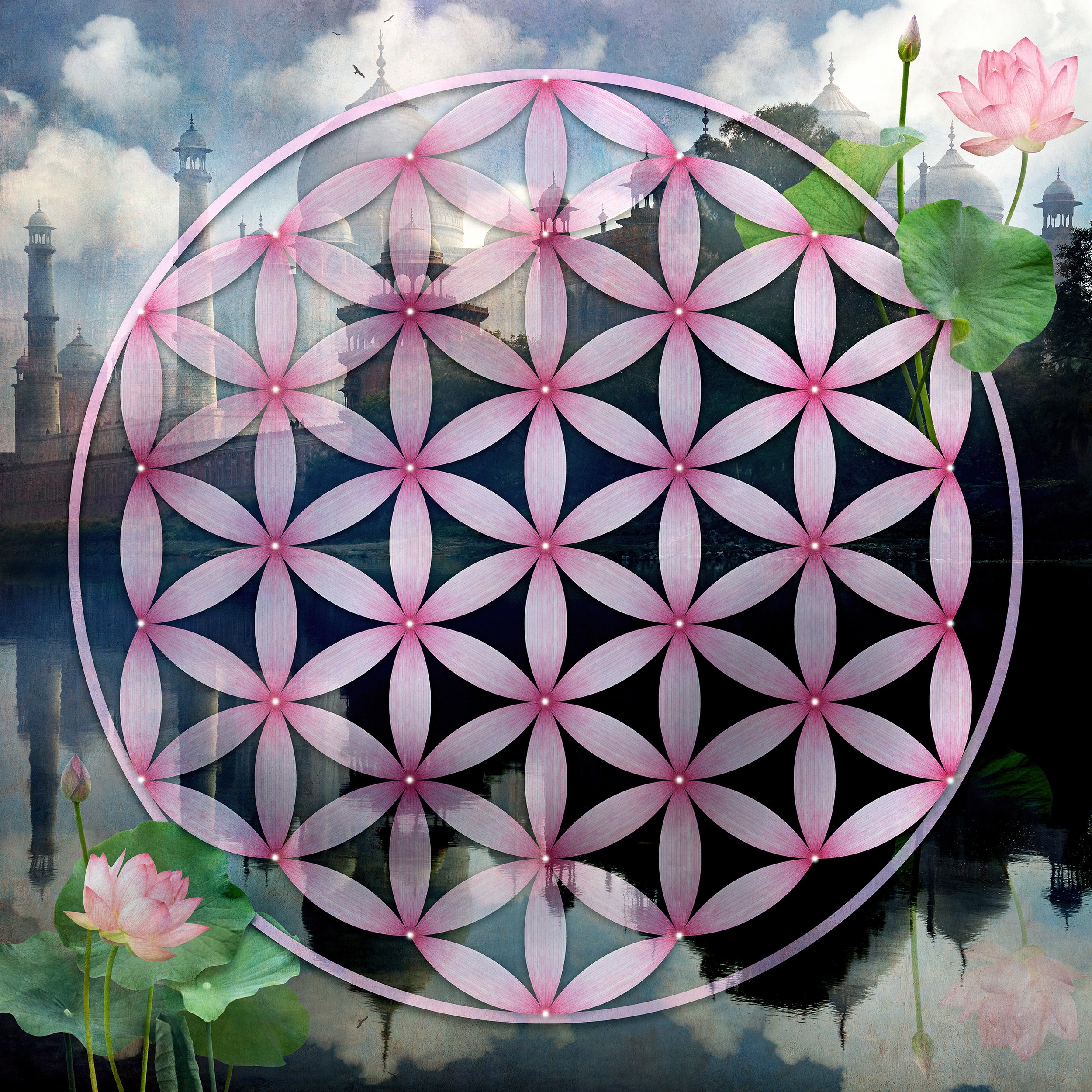 FLOWER OF LIFE, CHAKRA SERIES, TAJ MAHAL AND LOTUS