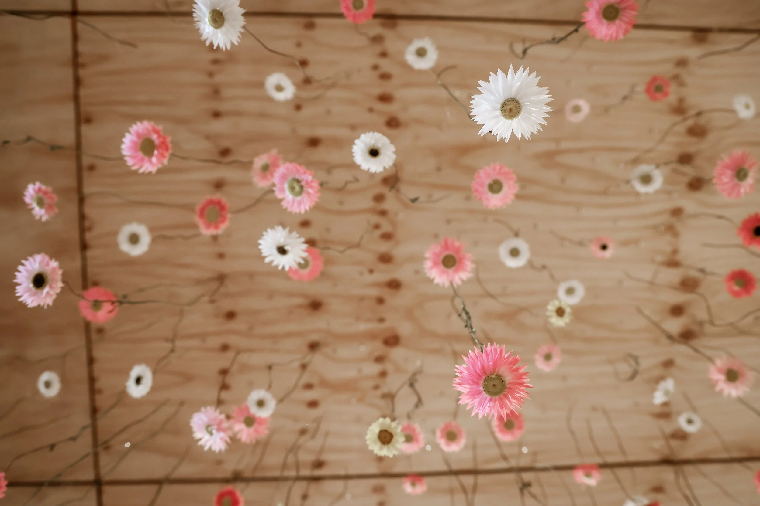 Return to the Secret Garden exhibition at On Clarence 2023