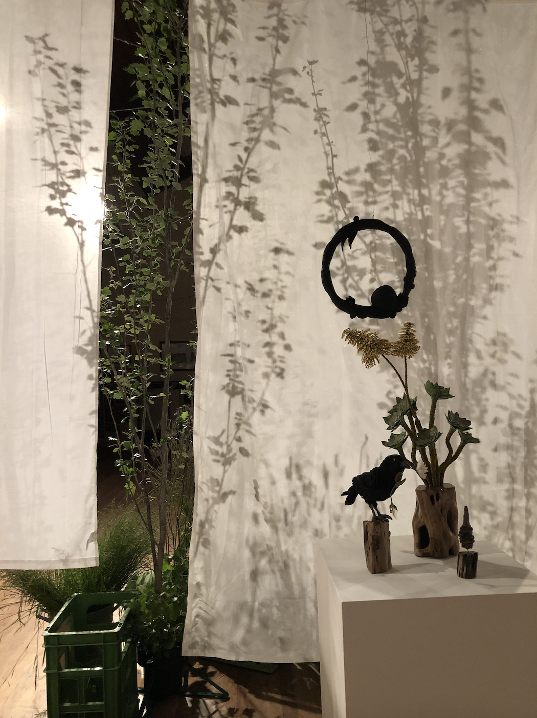 The Secret Garden installation in Loch Public Hall 2022