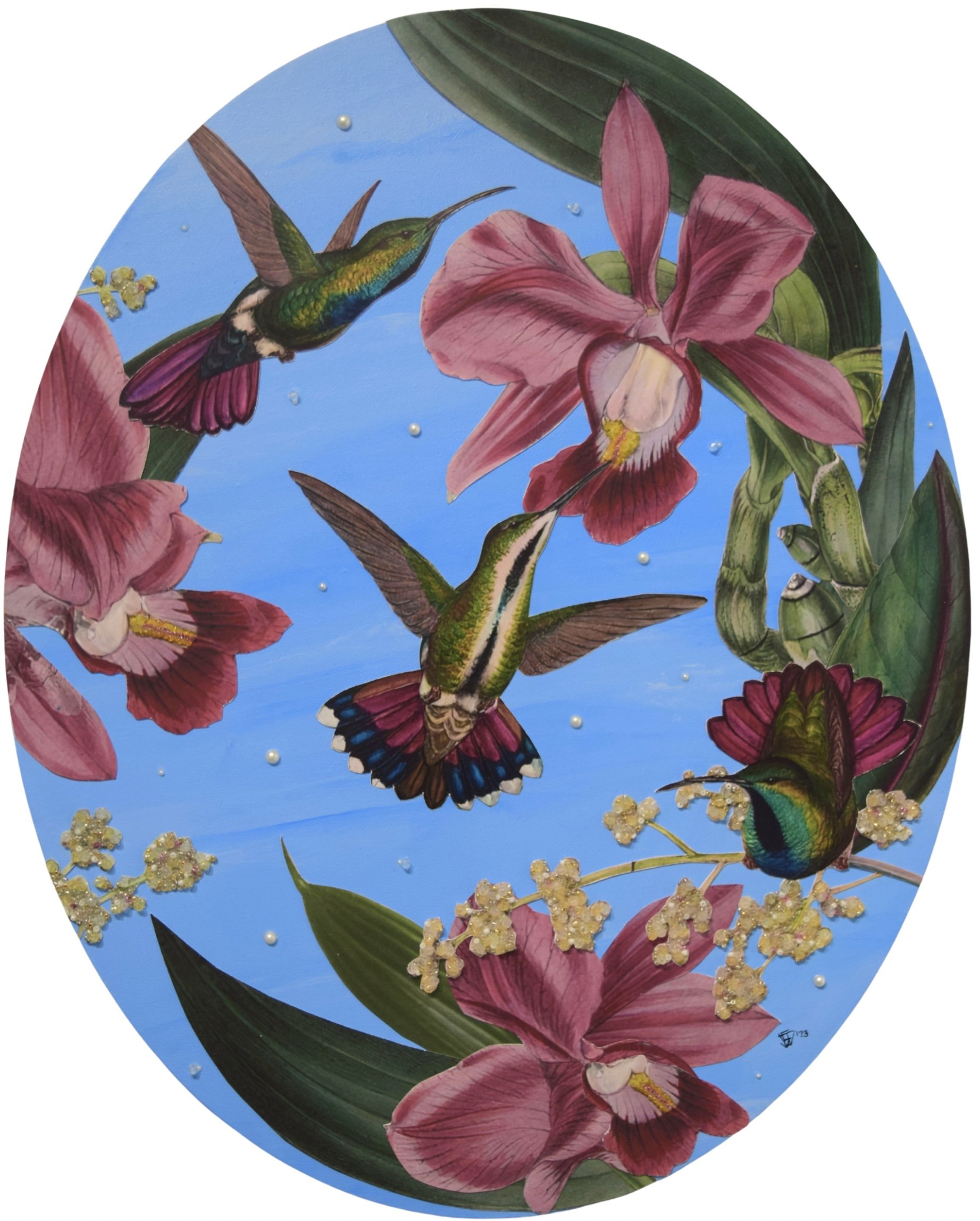 Hummingbird II.jpg