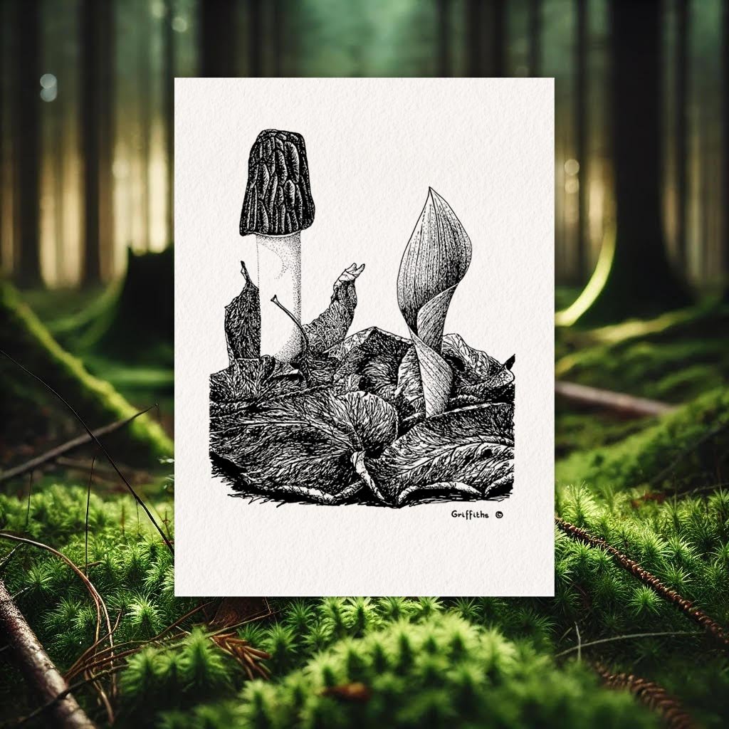 Griffiths - The Mushroom Show
