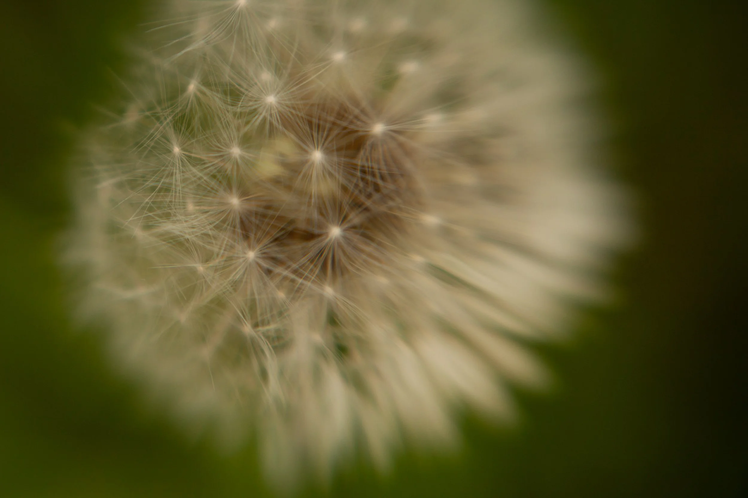 Natura-7.jpg