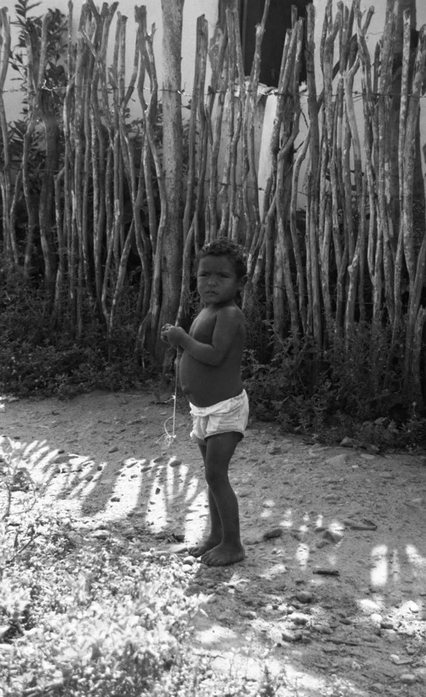 brazil0003.jpg