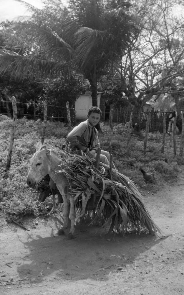 brazil0010.jpg