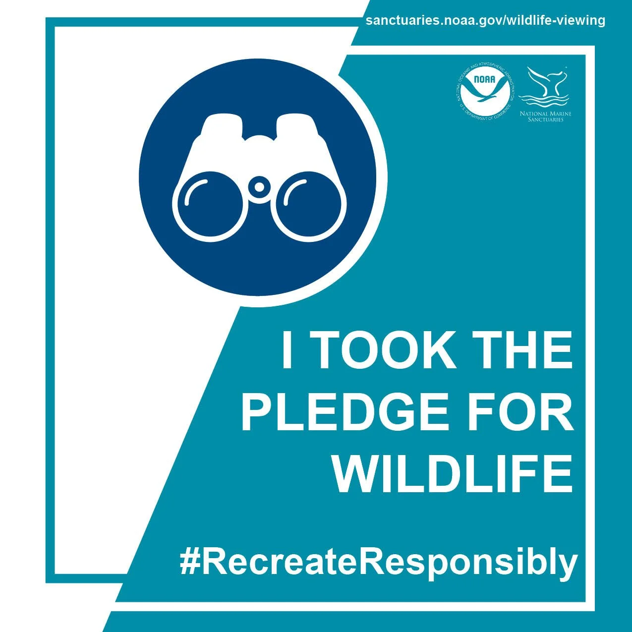 Wildlife Viewing Social Graphic.jpg