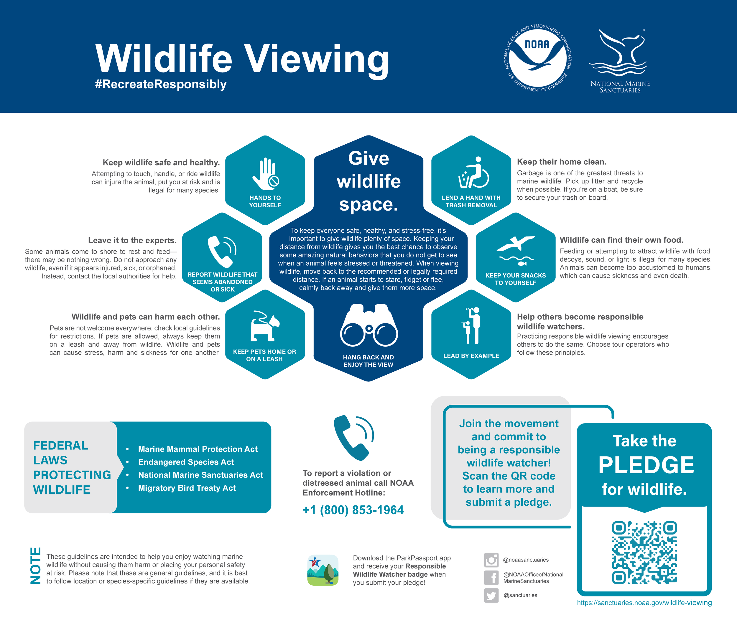 Wildlife Viewing Infographic Poster.png