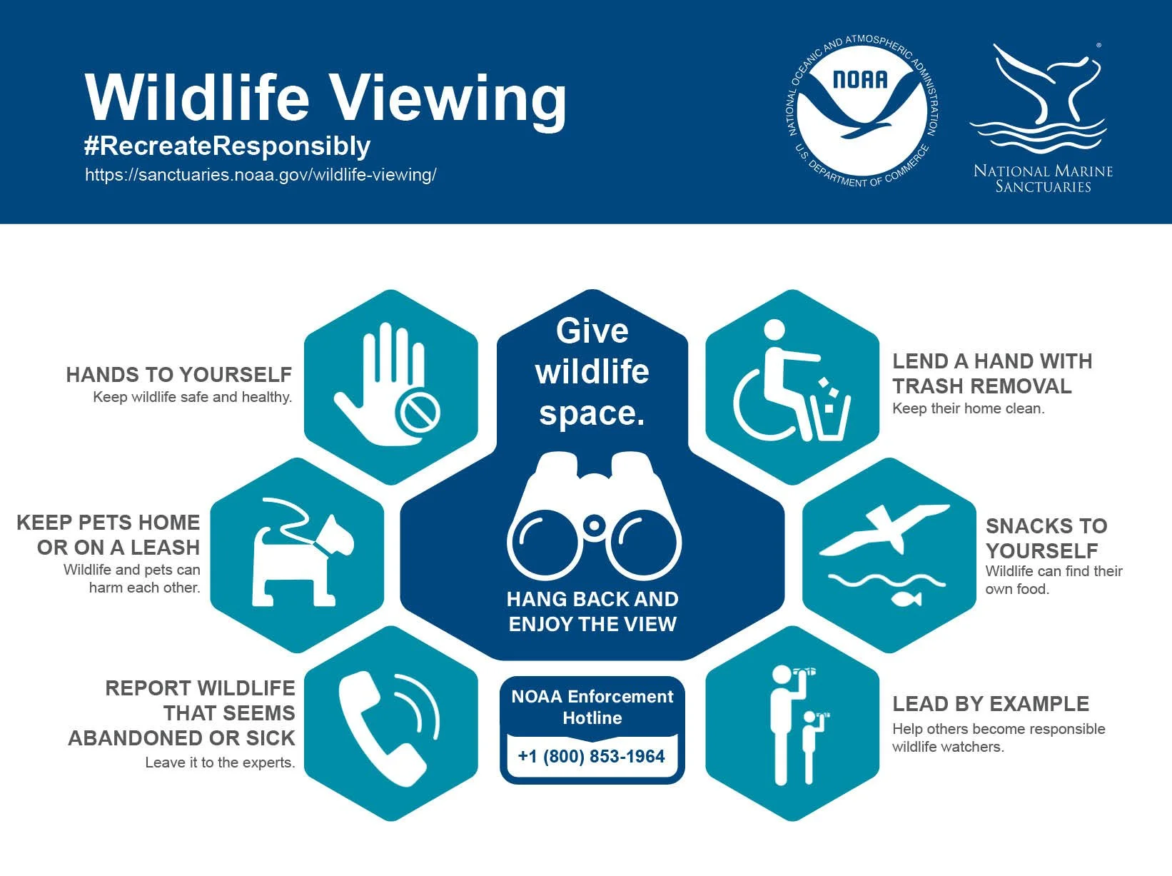 Wildlife Viewing Infographic.jpg