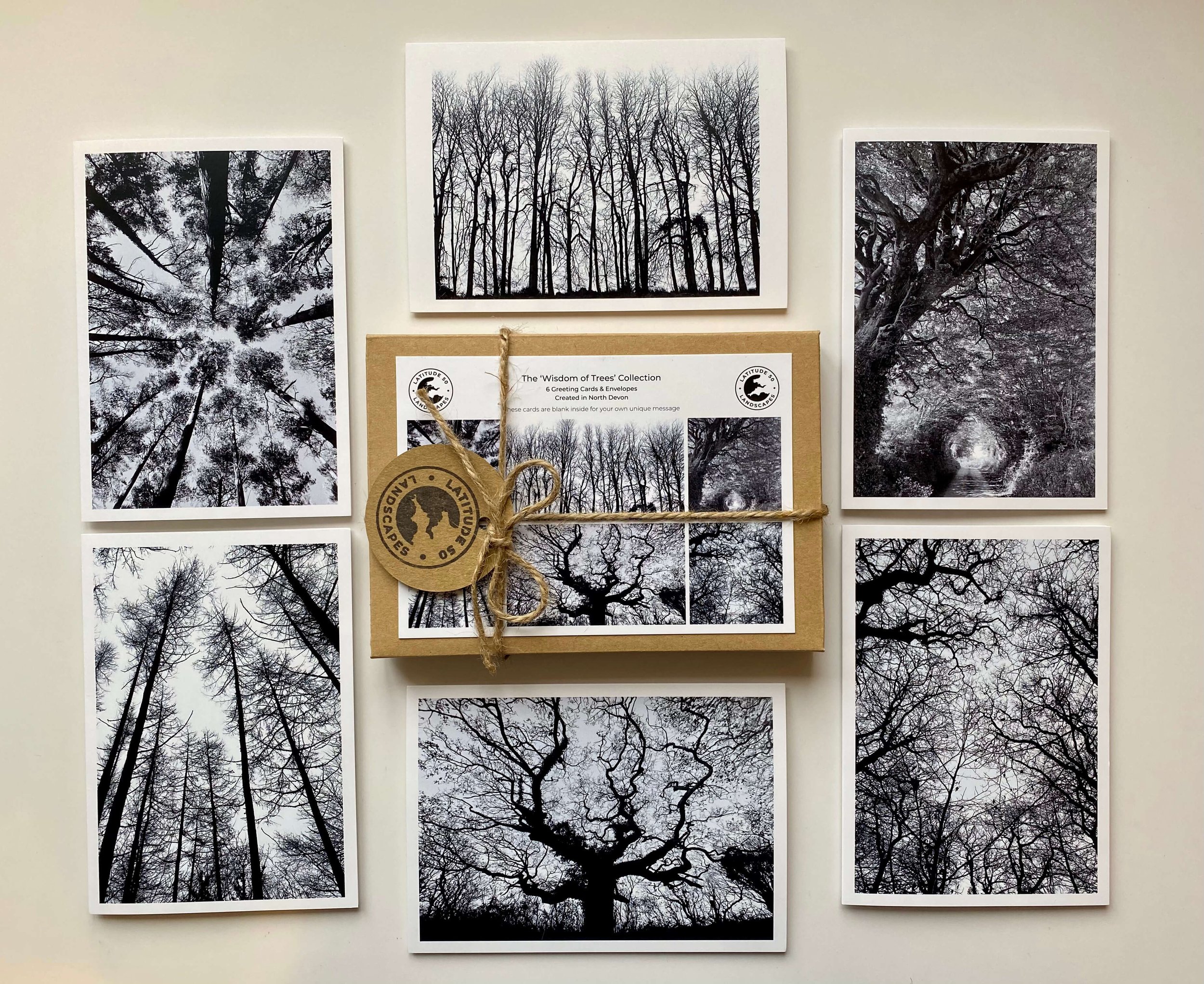 The Wisdom of Trees Collection 4.jpeg