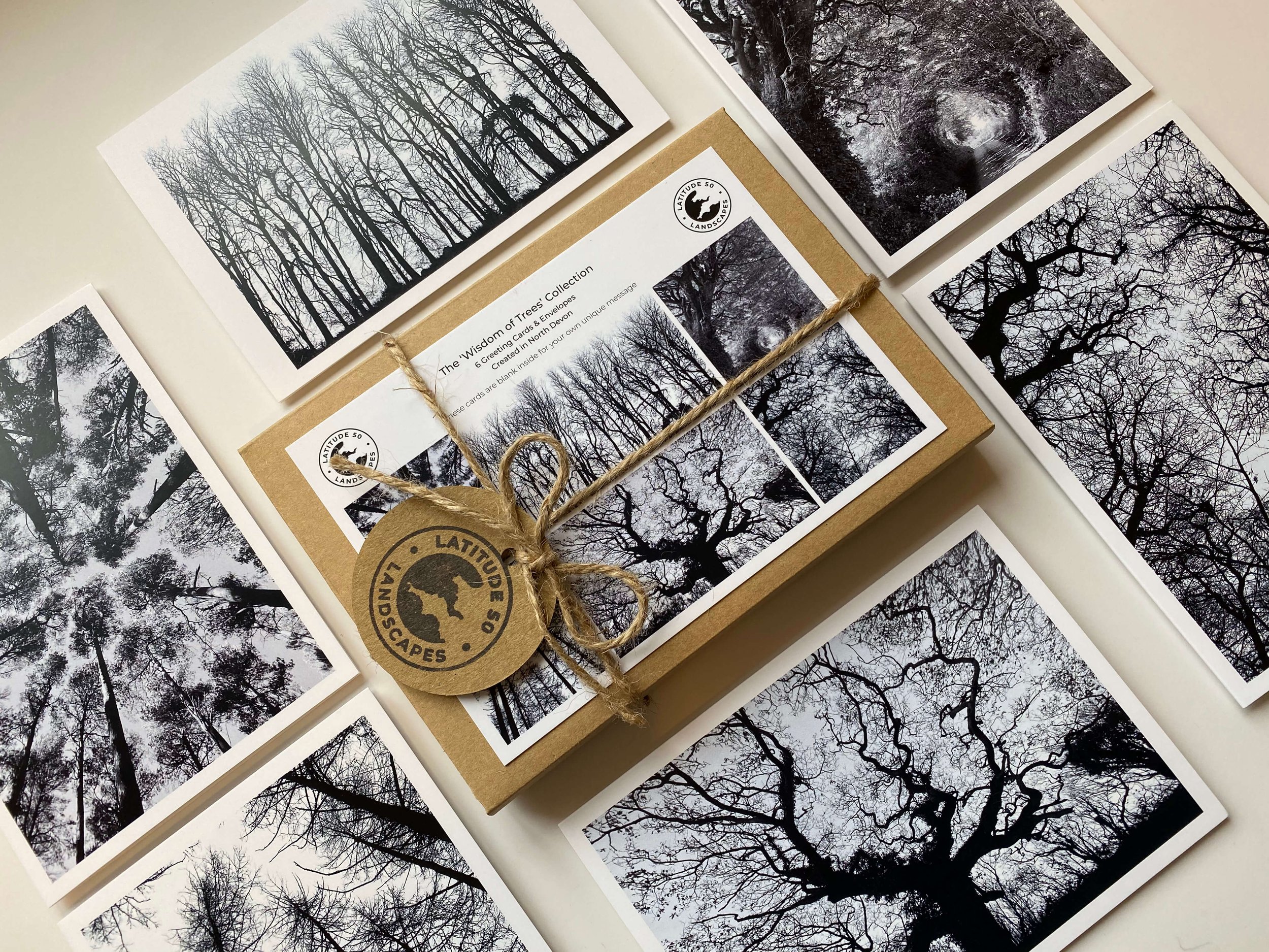 The Wisdom of Trees Collection 3.jpeg