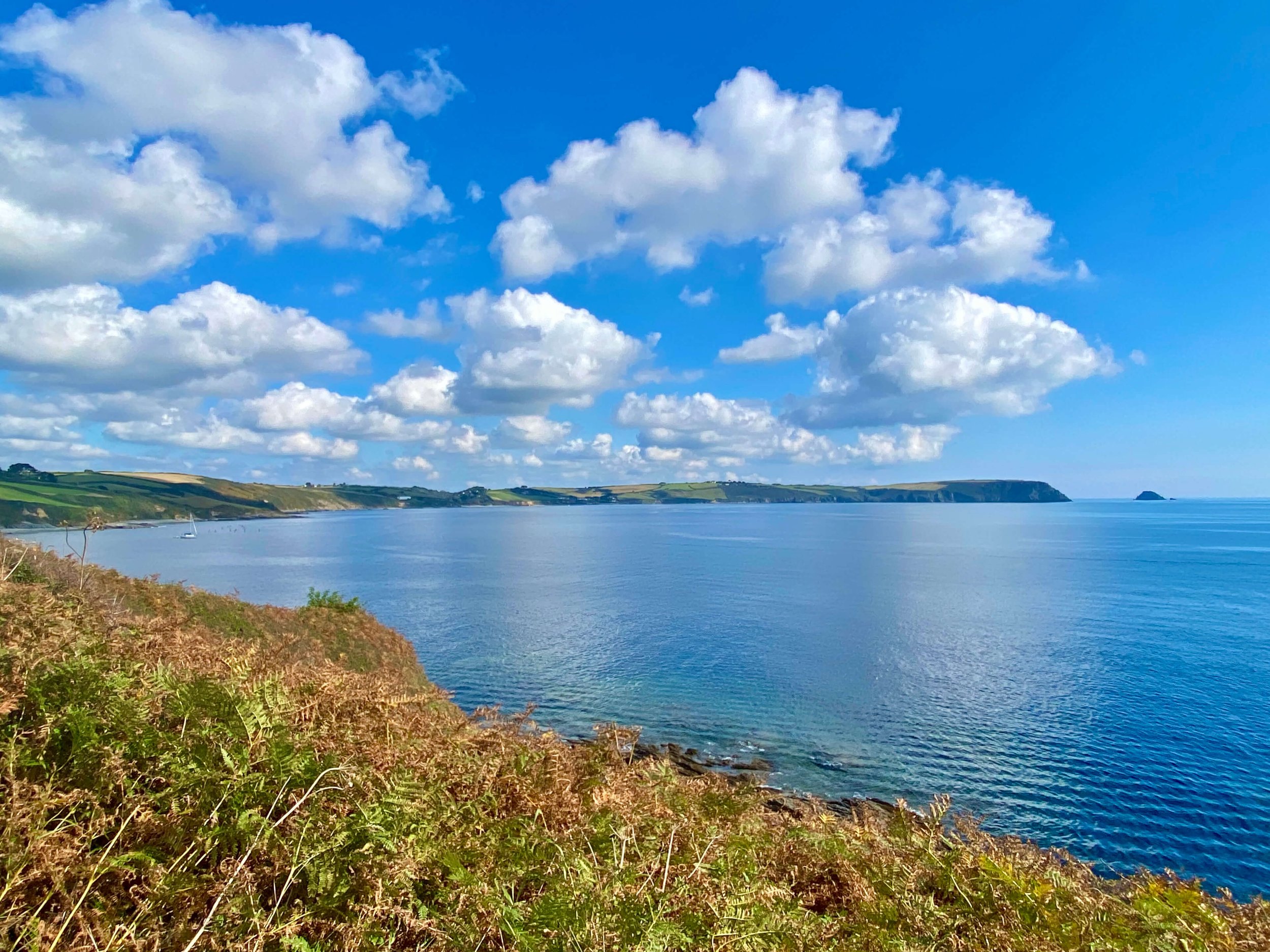 The Roseland Peninsula.jpeg