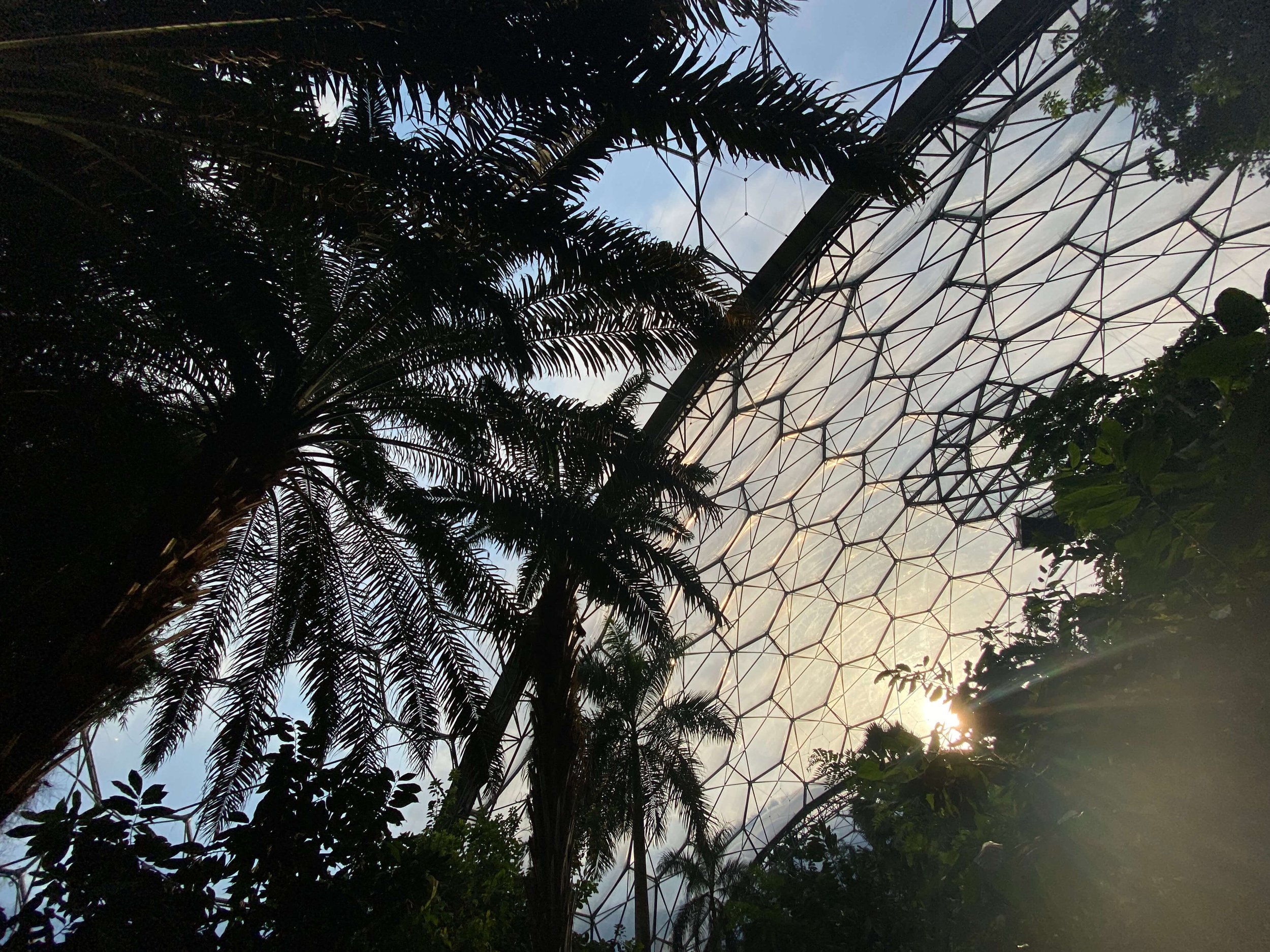 The Eden Project.jpeg