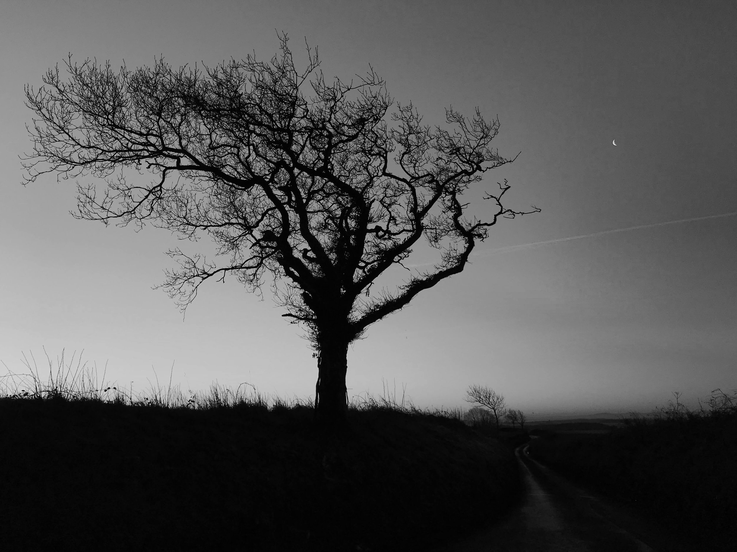 Reach For The Moon.....jpeg