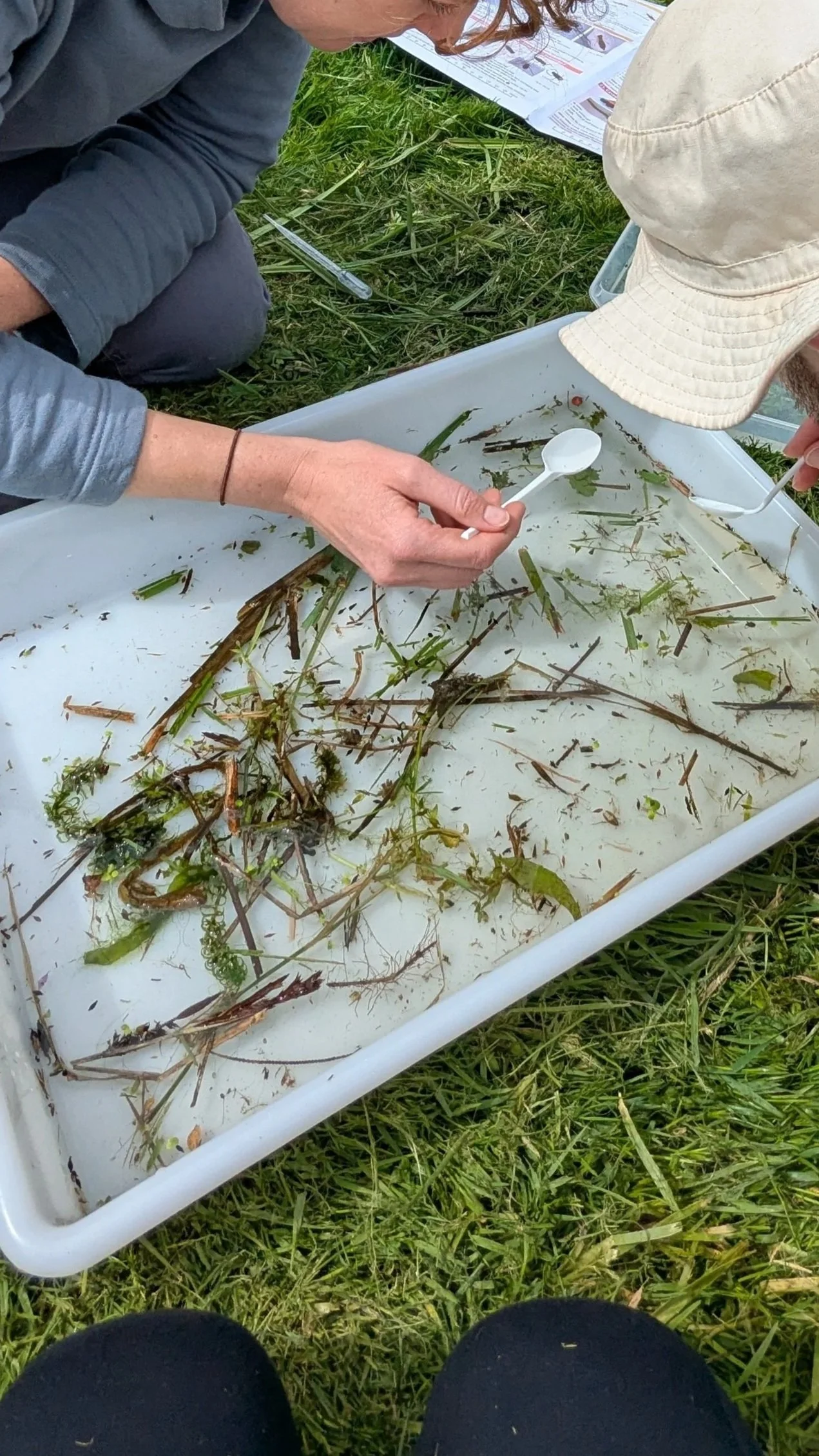 Gathering Lakefly data