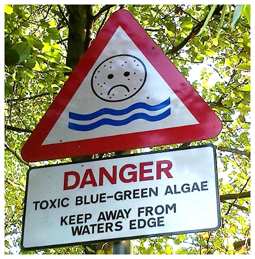 Assessment of Freshwater Algae Incidents - *New Course* from £585.00