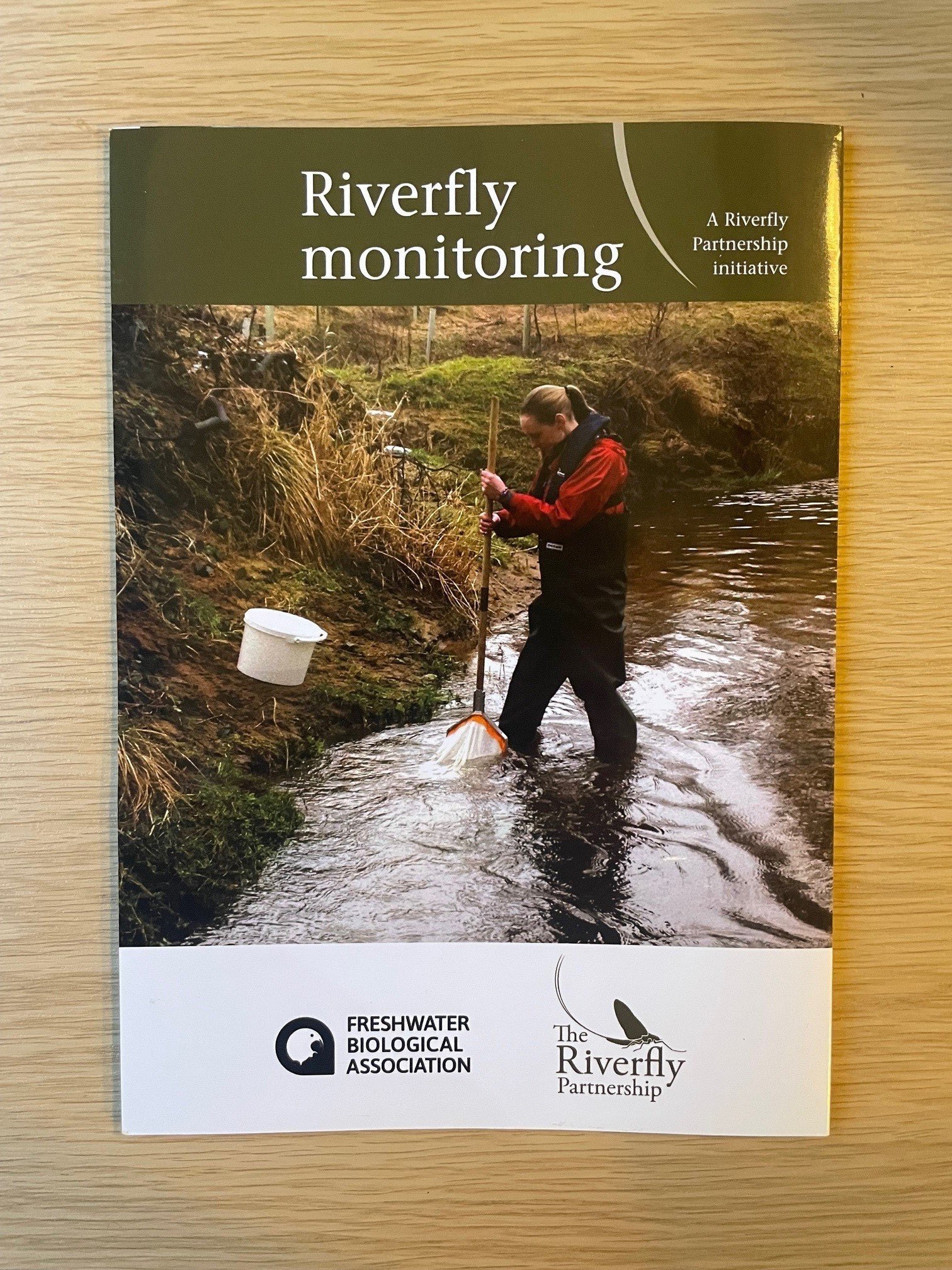 RIverfly+guide.jpg