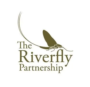 FBA secures major grant for the Riverfly citizen science programme
