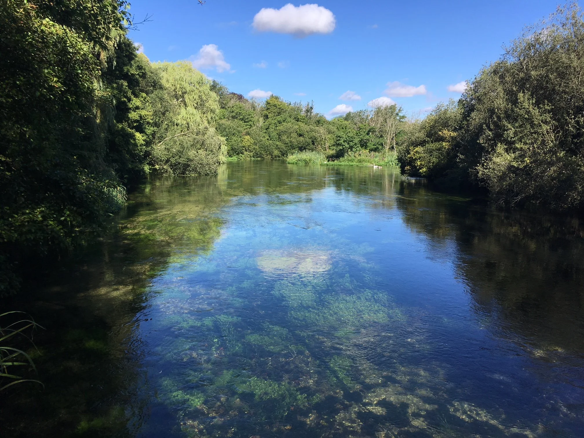Restoring chalk streams in a changing climate