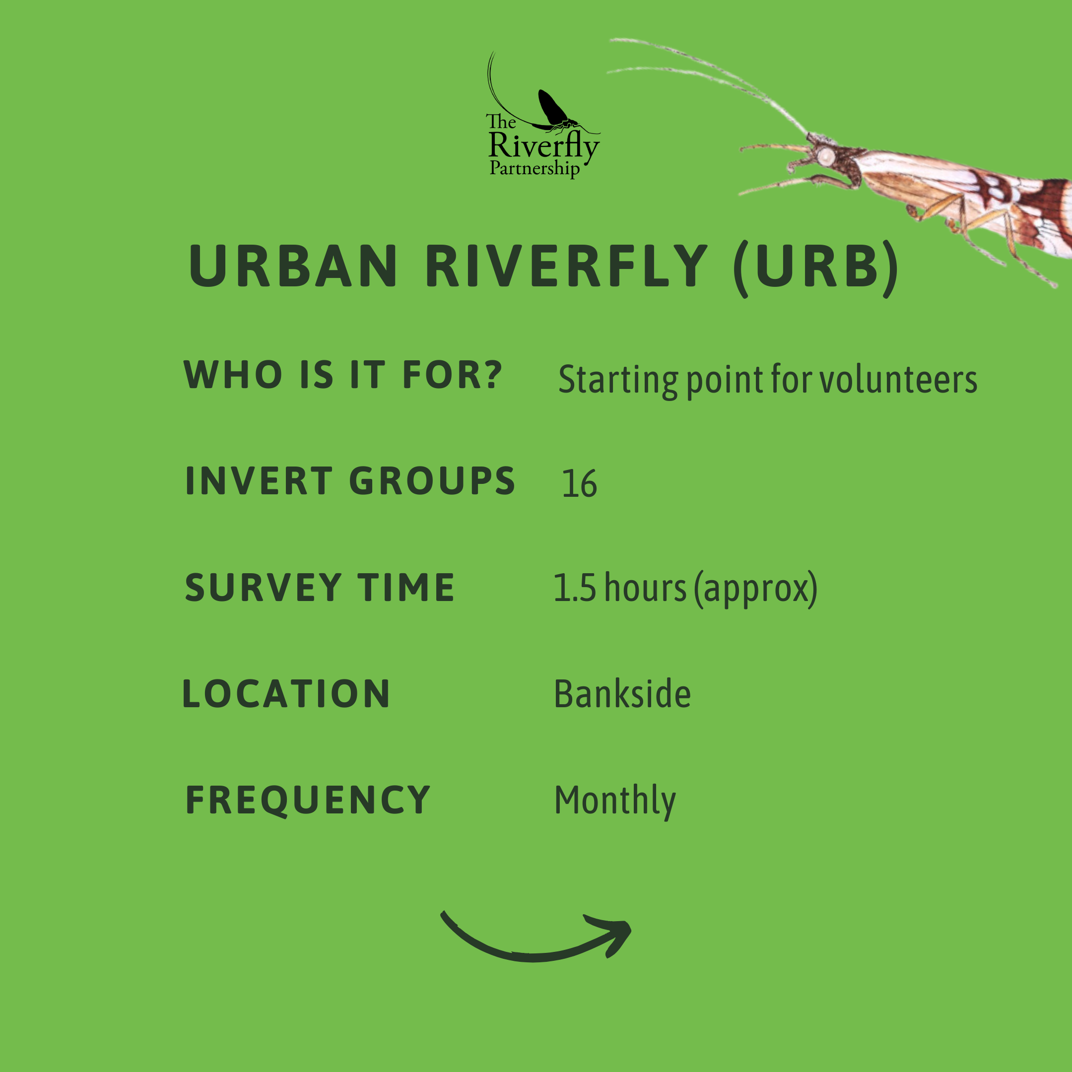 Riverfly monitoring modes_3.png