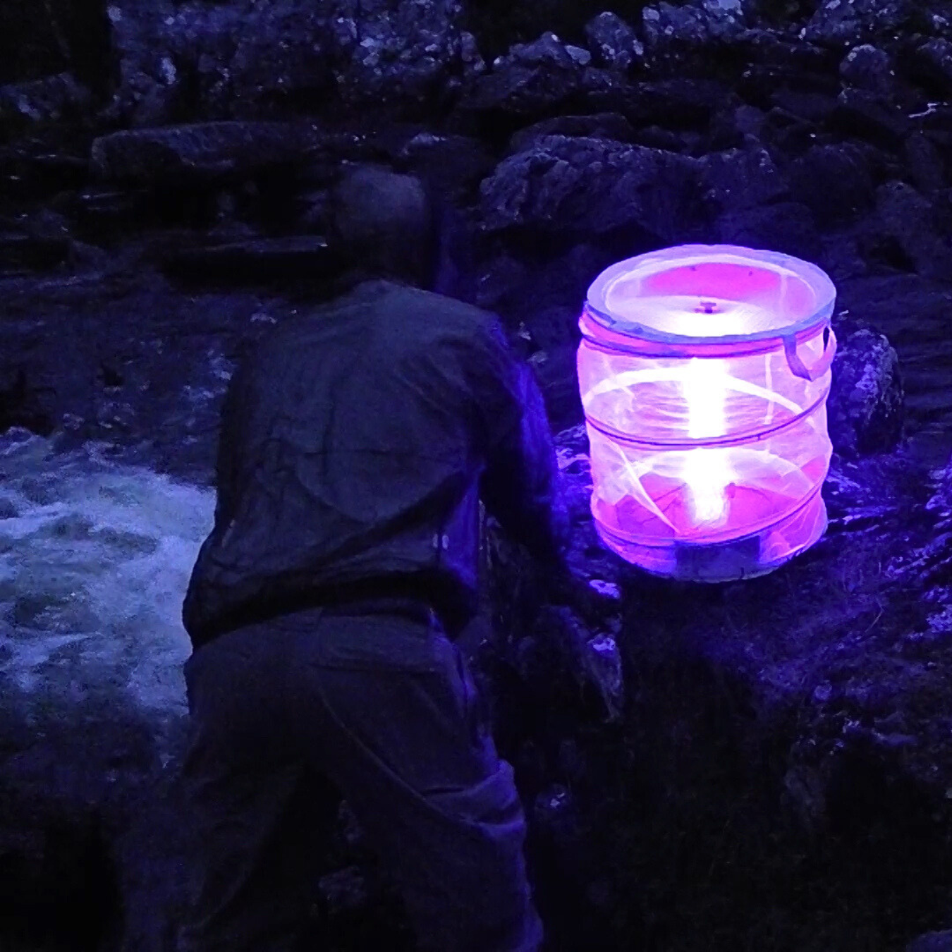 Darkness with the light trap on the River Culag.png