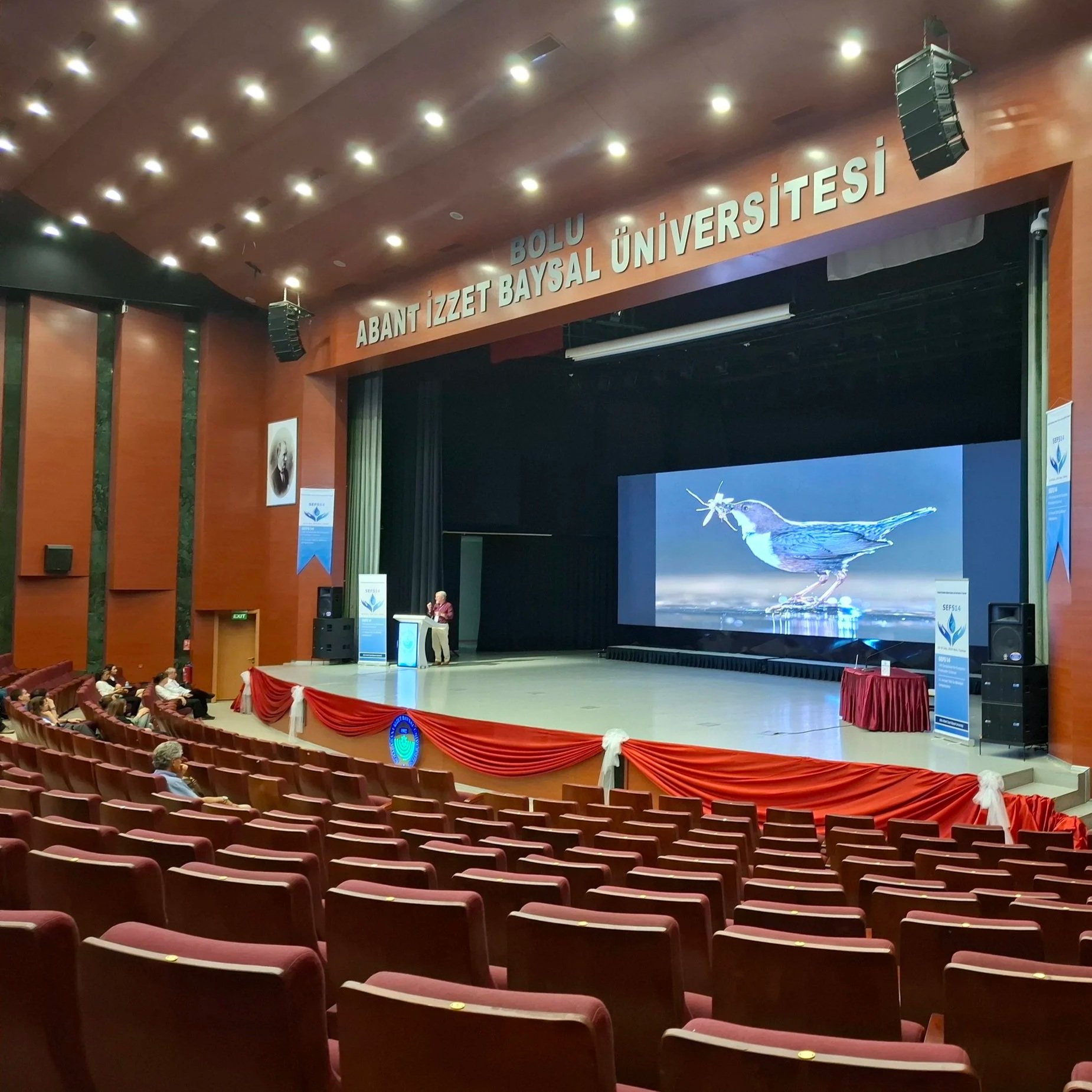 SEFS14: A personal reflection