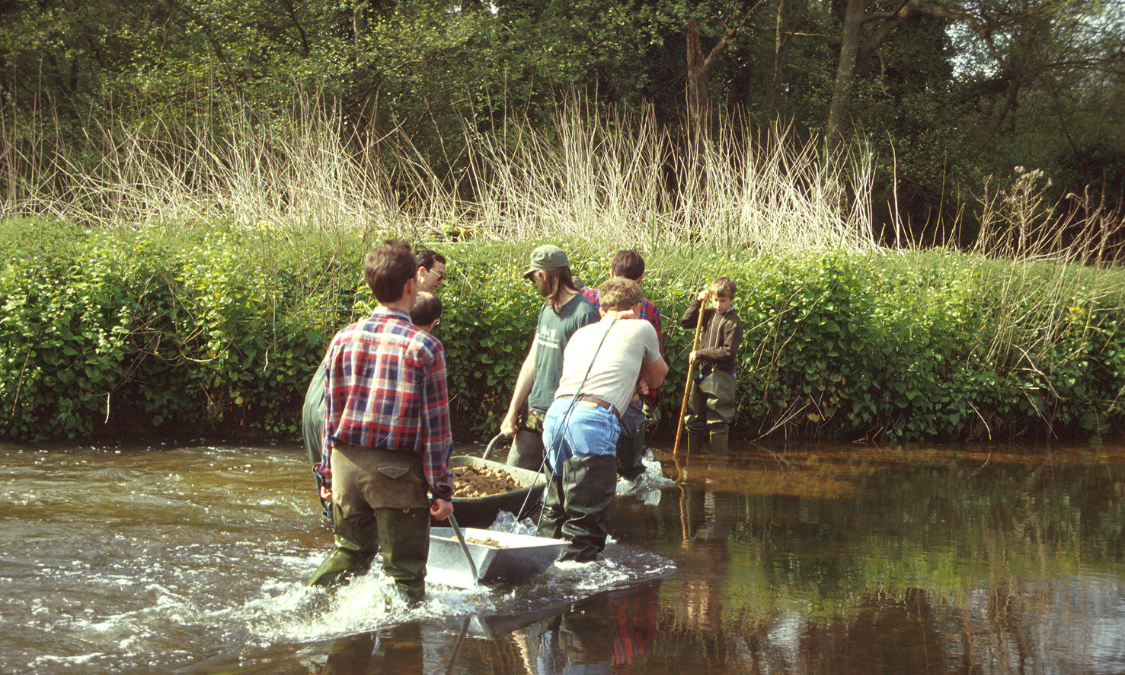 The Wensum: England’s dying and forgotten chalk river — Freshwater ...