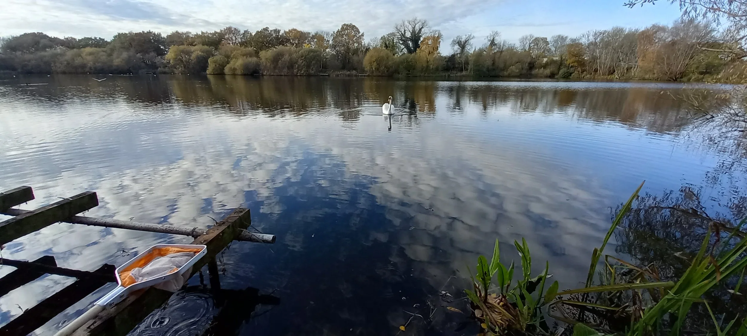 Mark Egerton October 2025.jpg