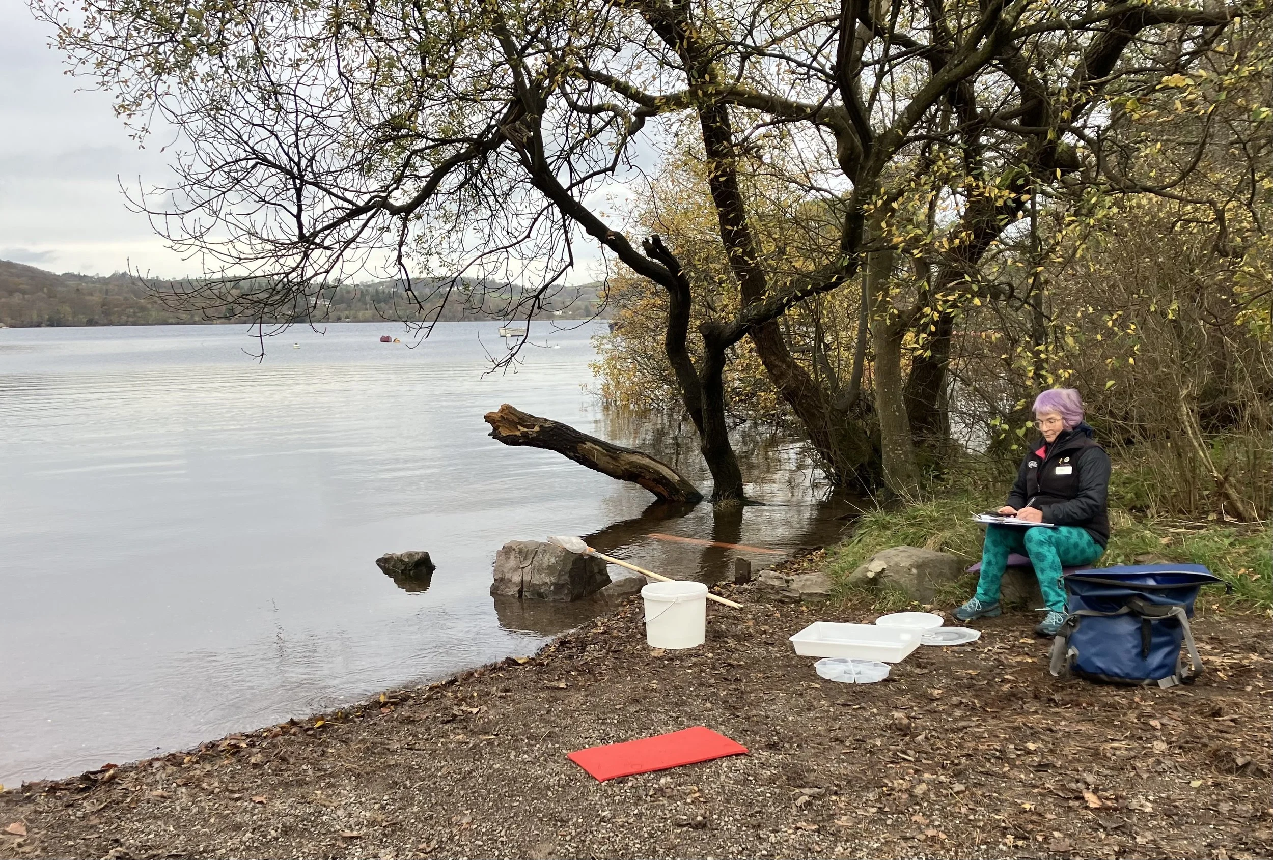 Nick Austin - Ul02 4.jpeg