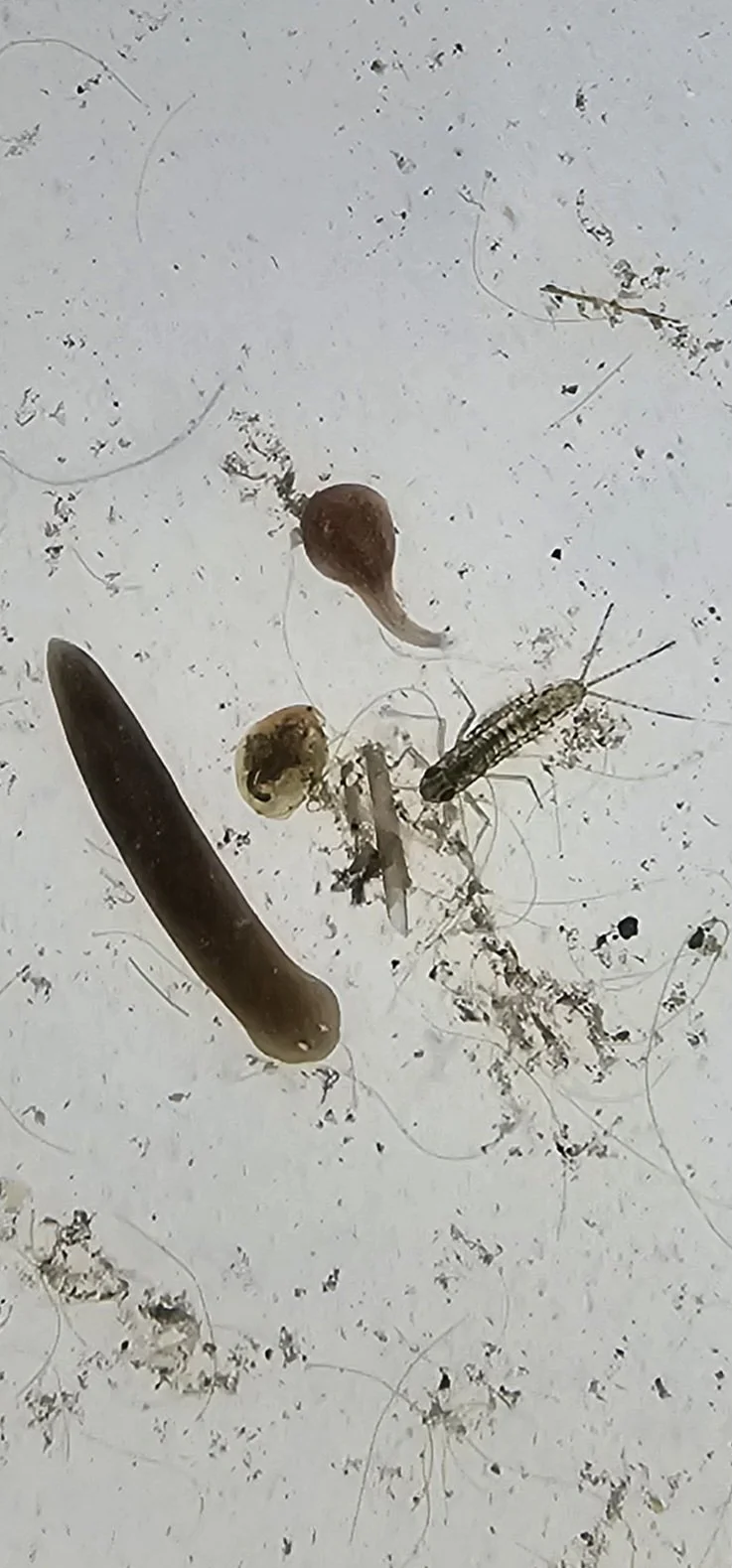 Ian Doyle_credit AT.jpg