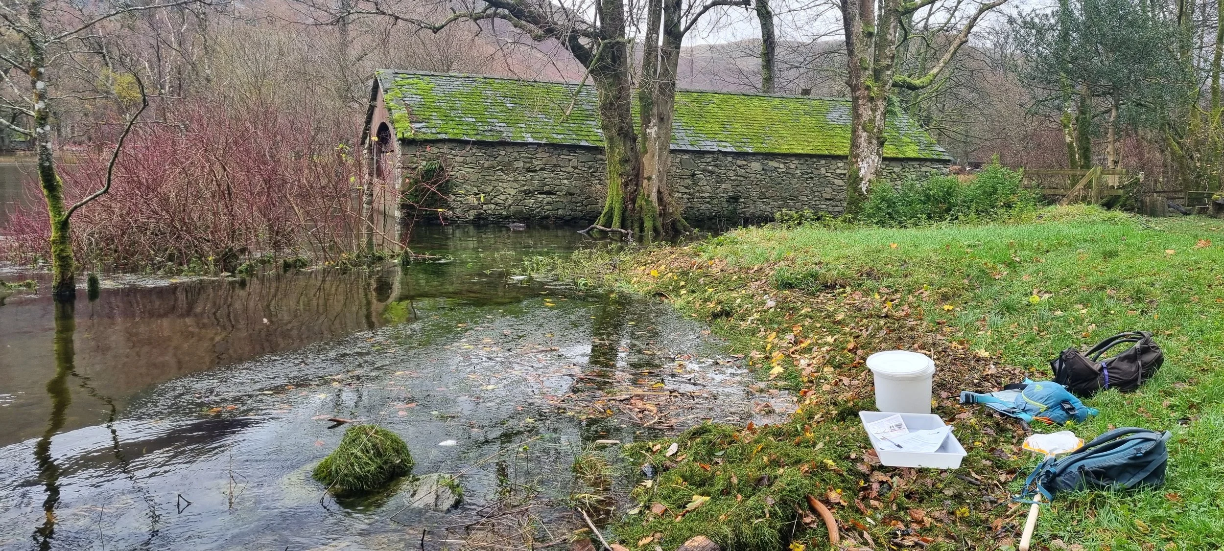 20251115_123635 Becci Senior.jpg